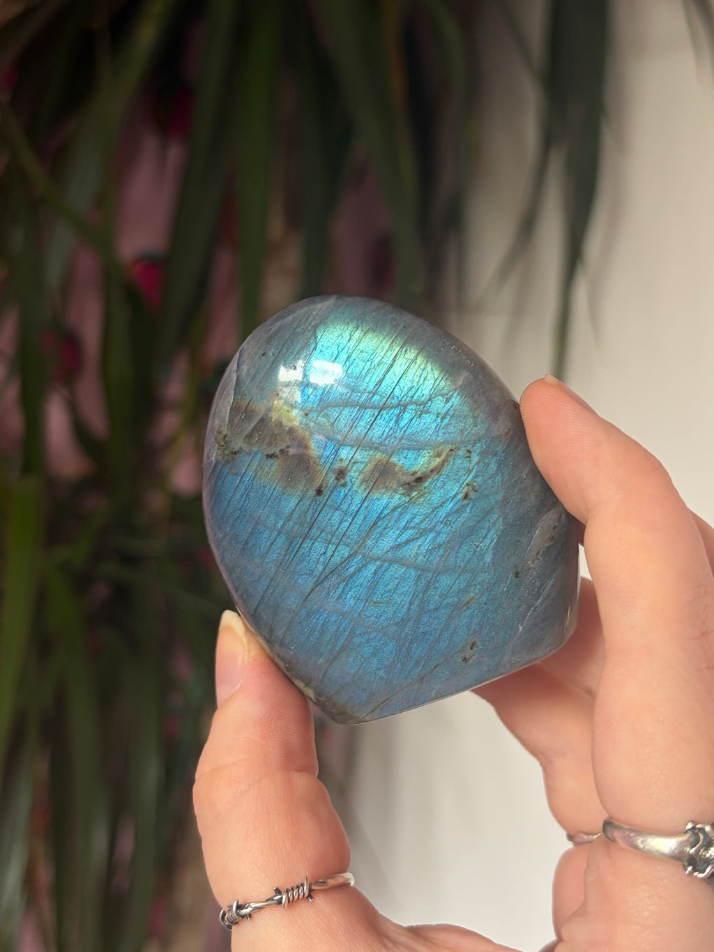 A Grade Labradorite Freeform