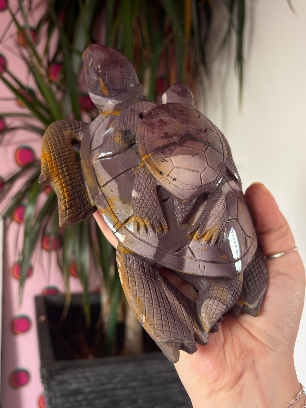 Big Mookaite Turtle on Custom stand