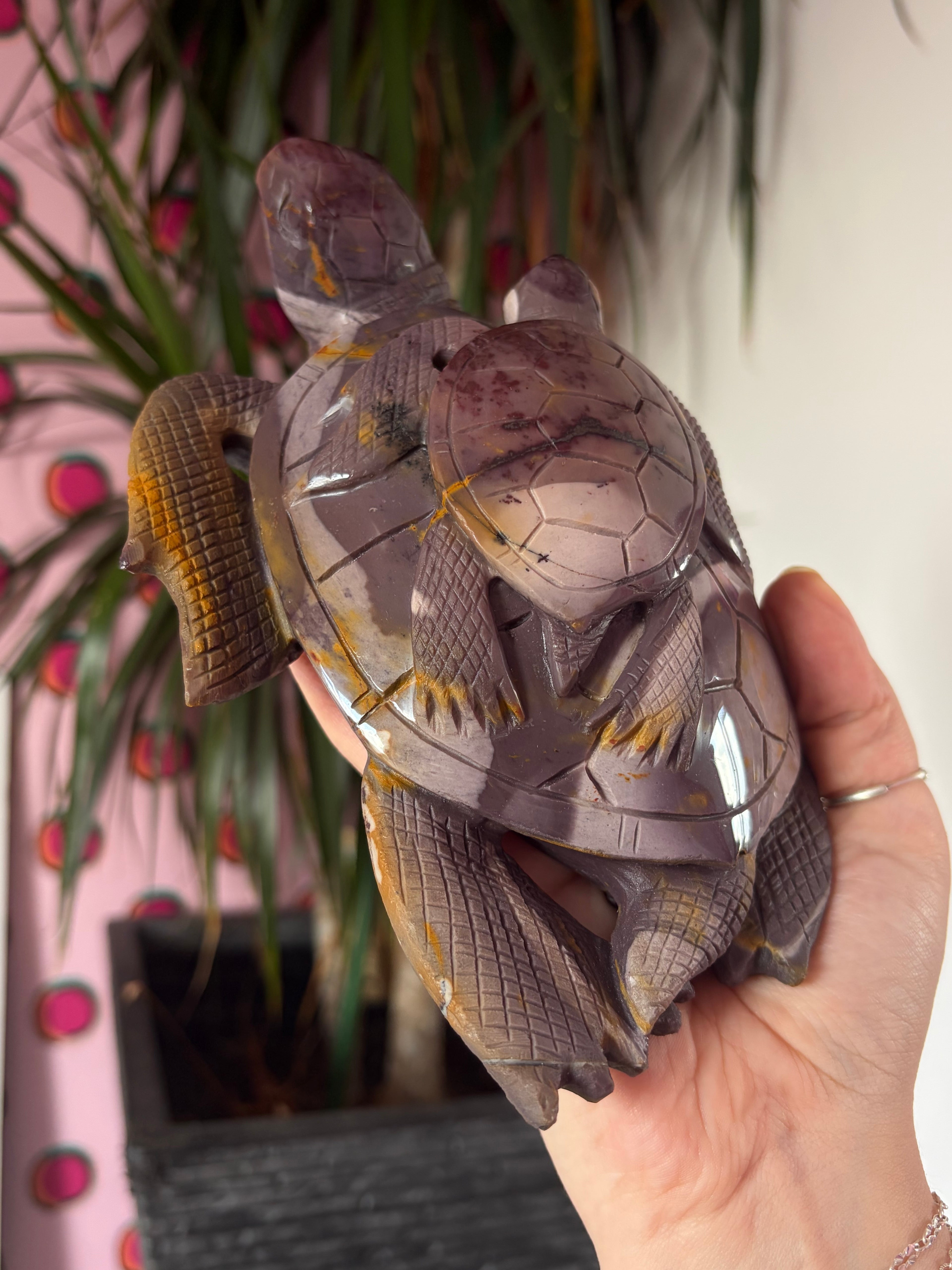 Big Mookaite Turtle on Custom stand