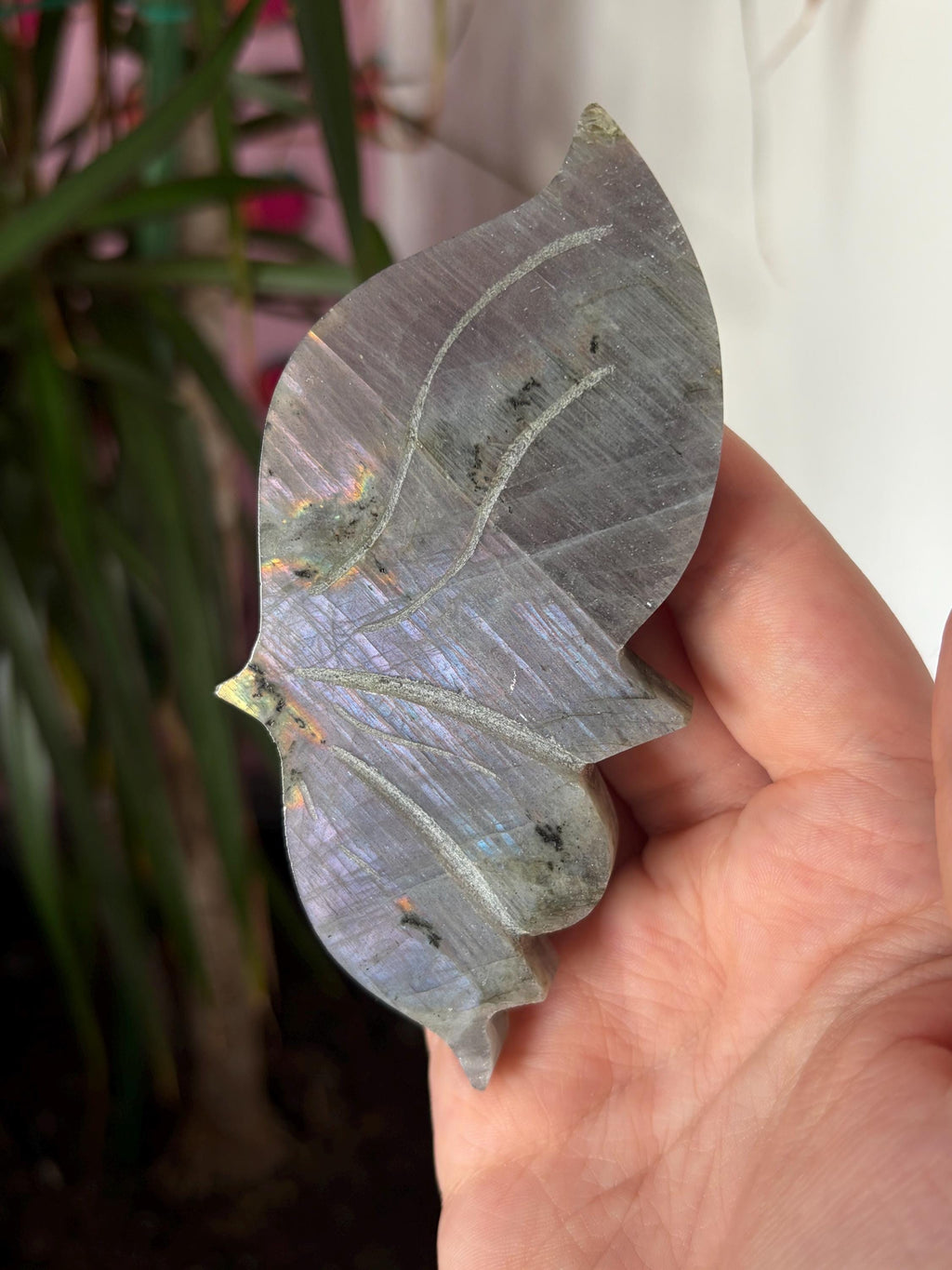 Labradorite Butterfly Wings with Custom Stand