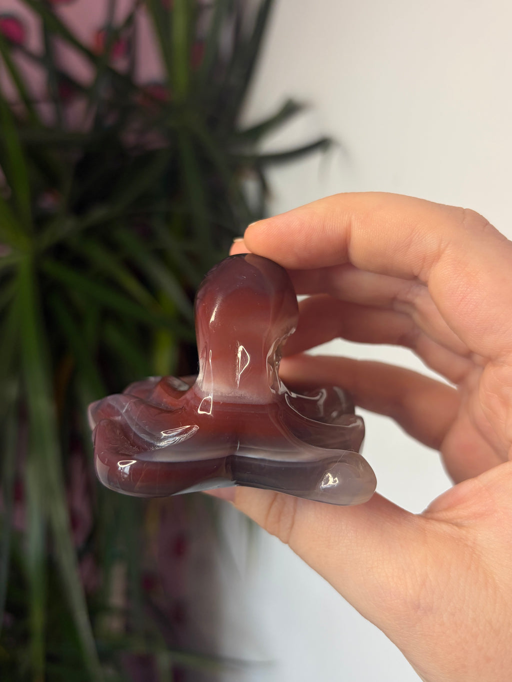 Mozambique Agate Octopus