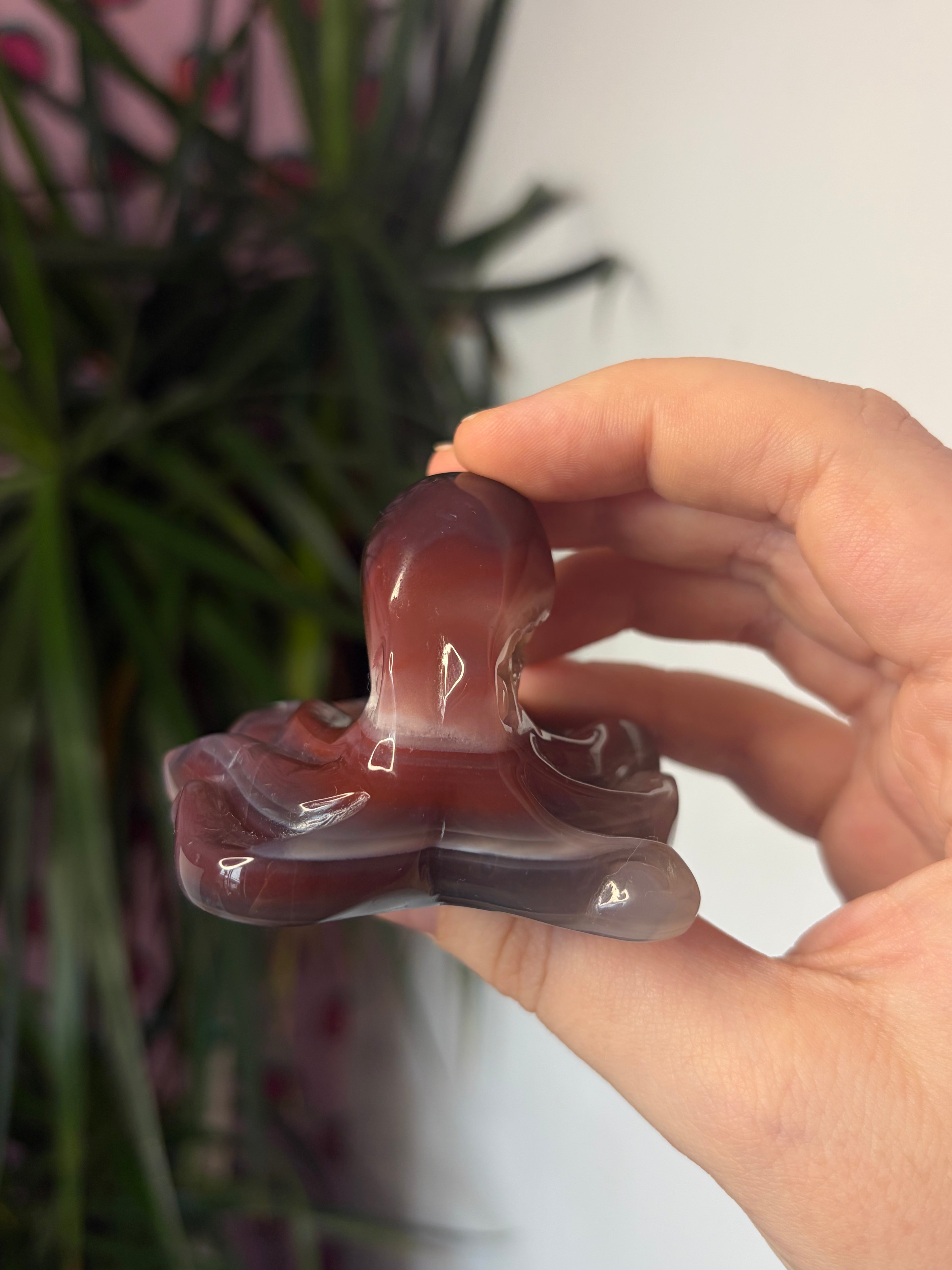 Mozambique Agate Octopus