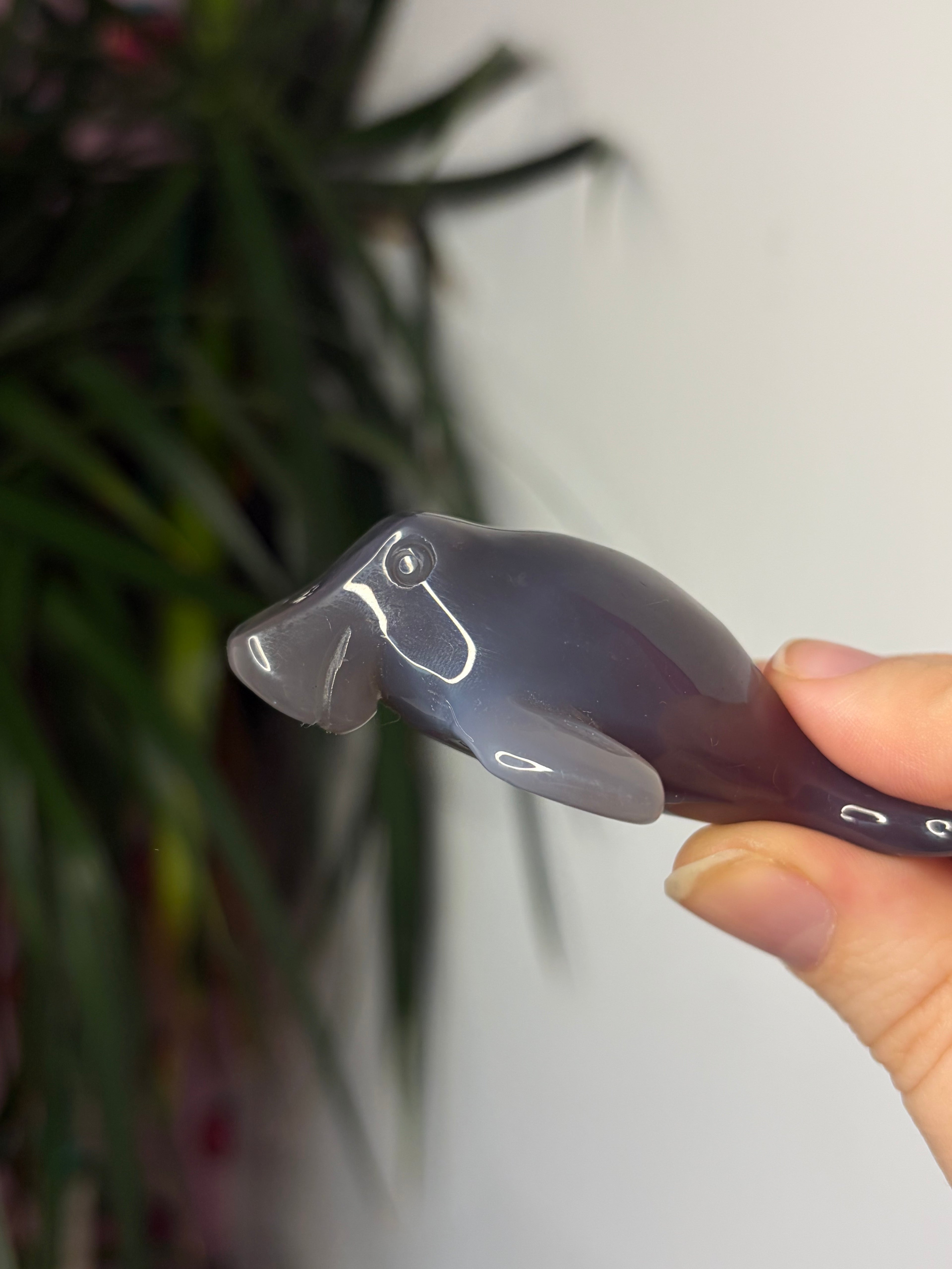 Mozambique Agate Manatee