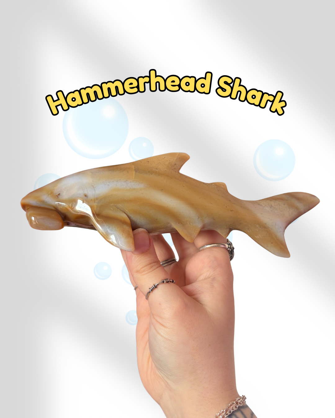 Agate Hammerhead Shark