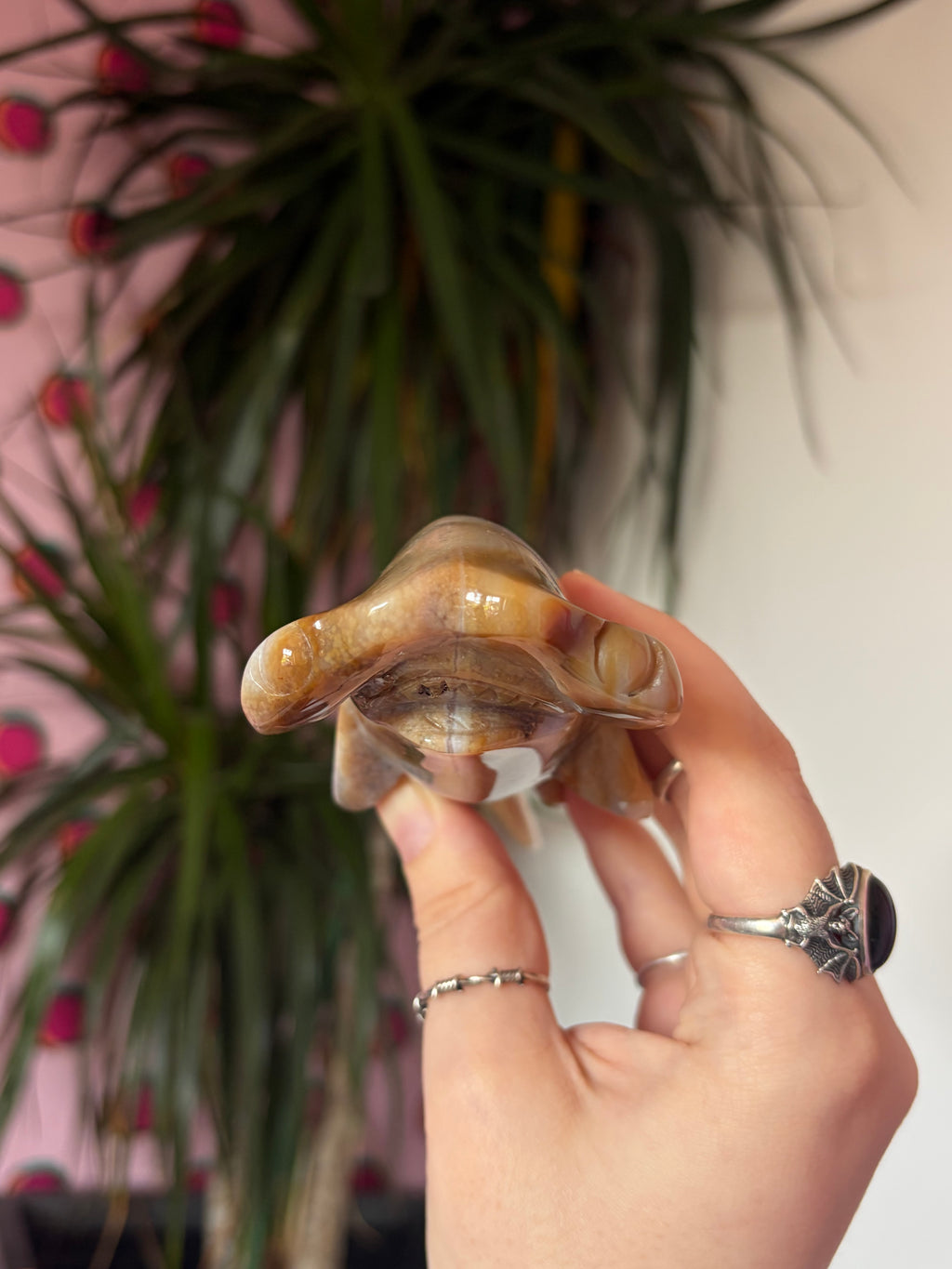 Agate Hammerhead Shark