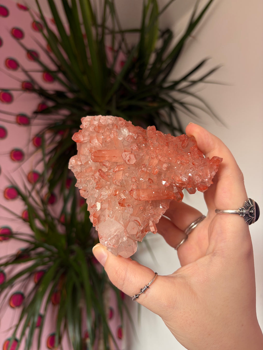 Sparkly Pink Lithium on custom stand