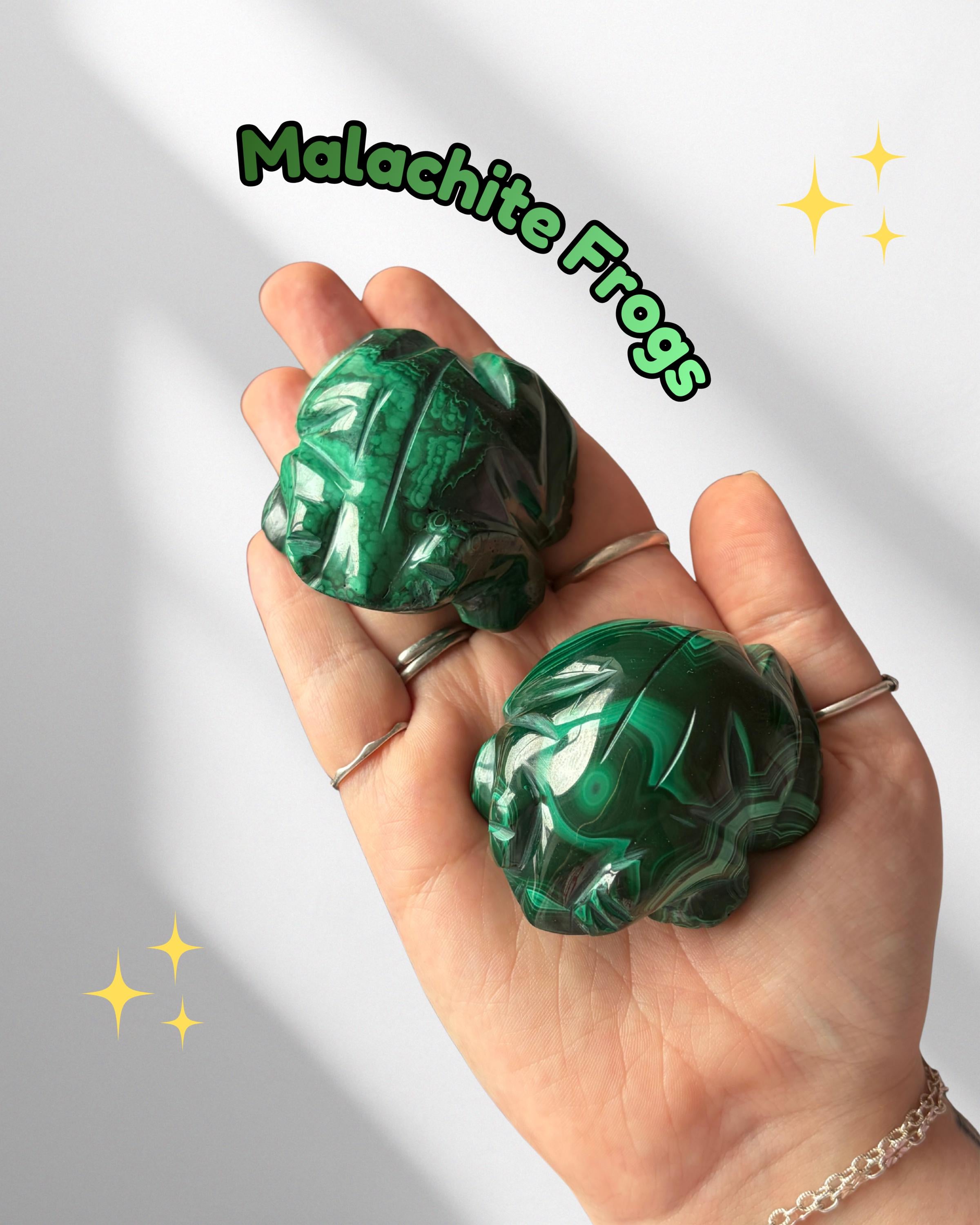 Malachite Frogs