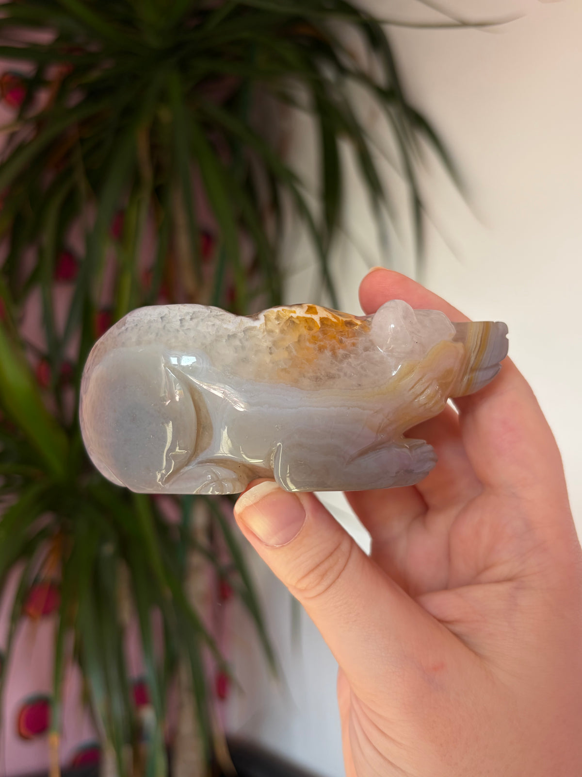 Druzy agate bear