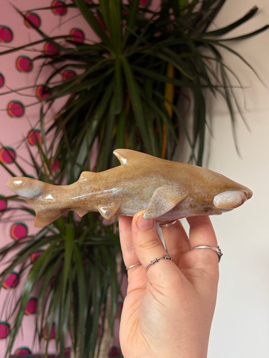 Agate Hammerhead Shark