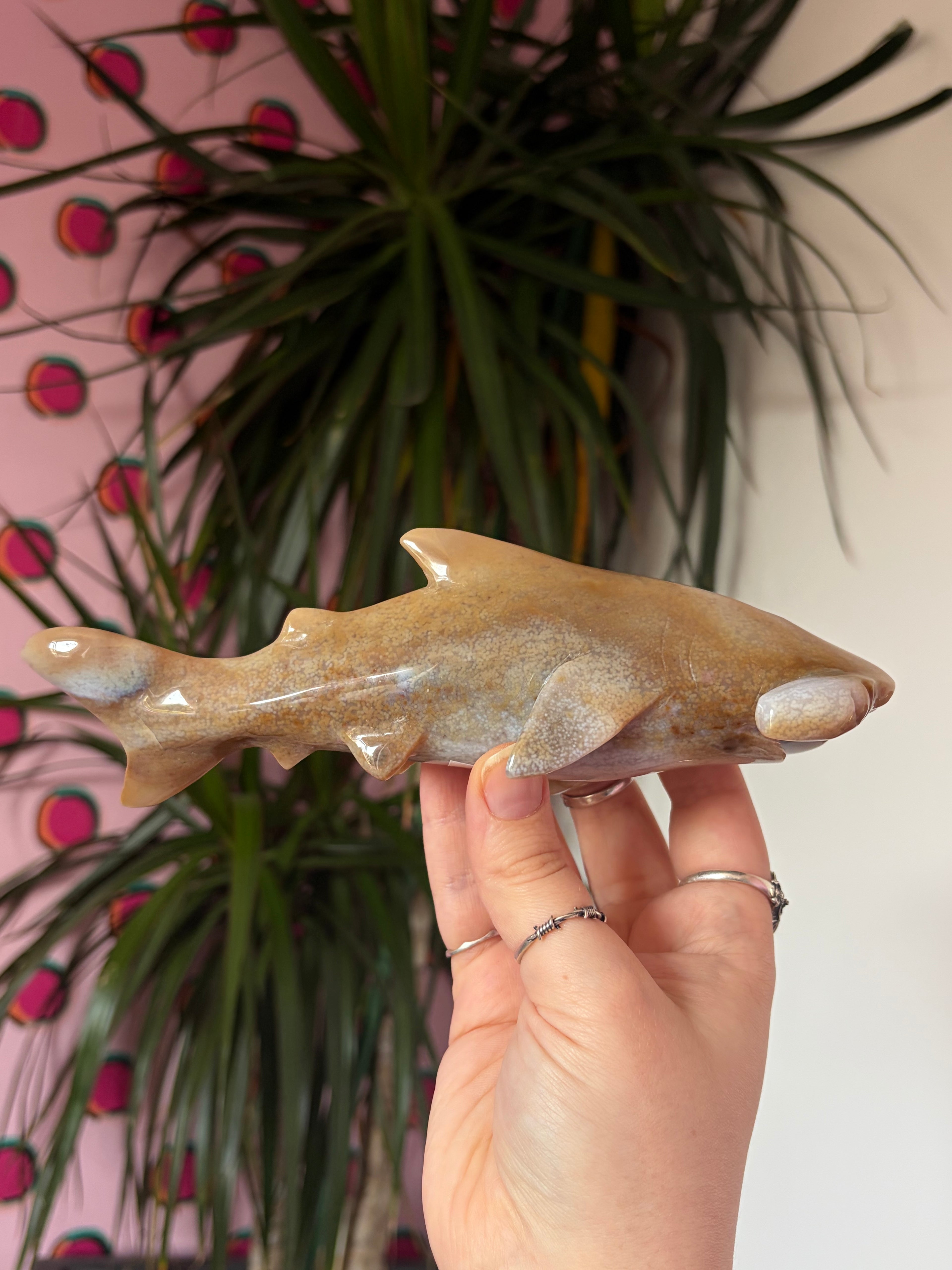Agate Hammerhead Shark