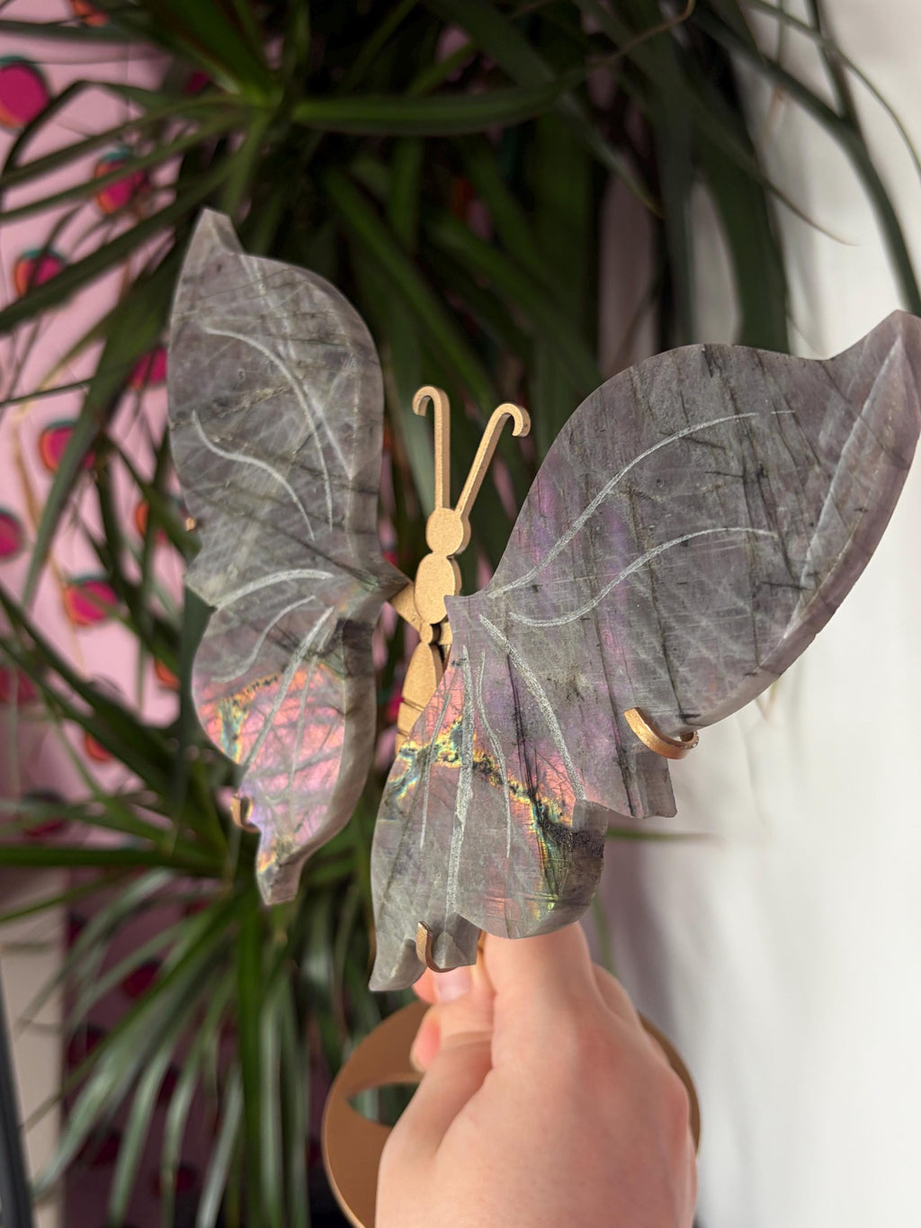 Labradorite Butterfly Wings with Custom Stand