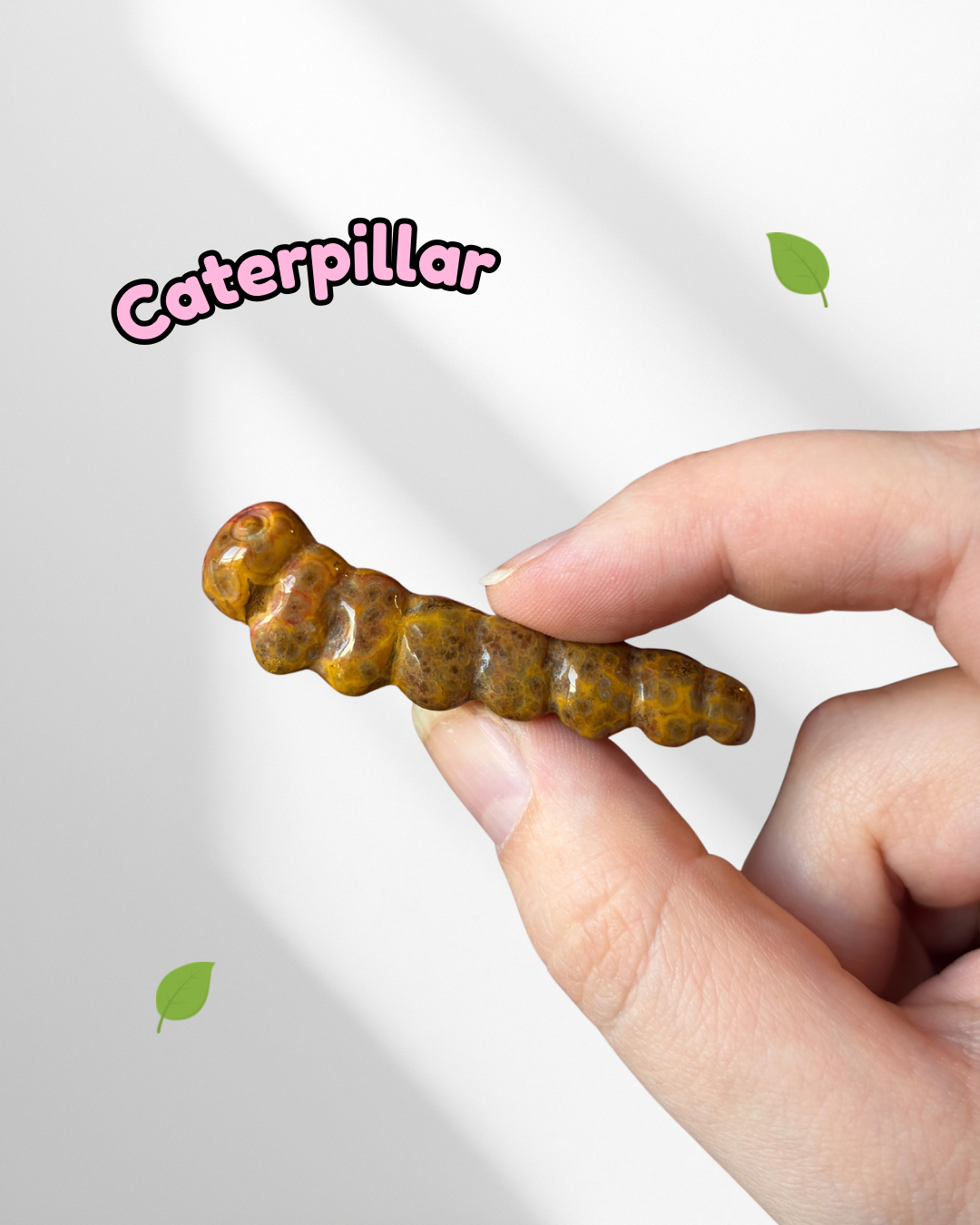 Ocean Jasper caterpillar