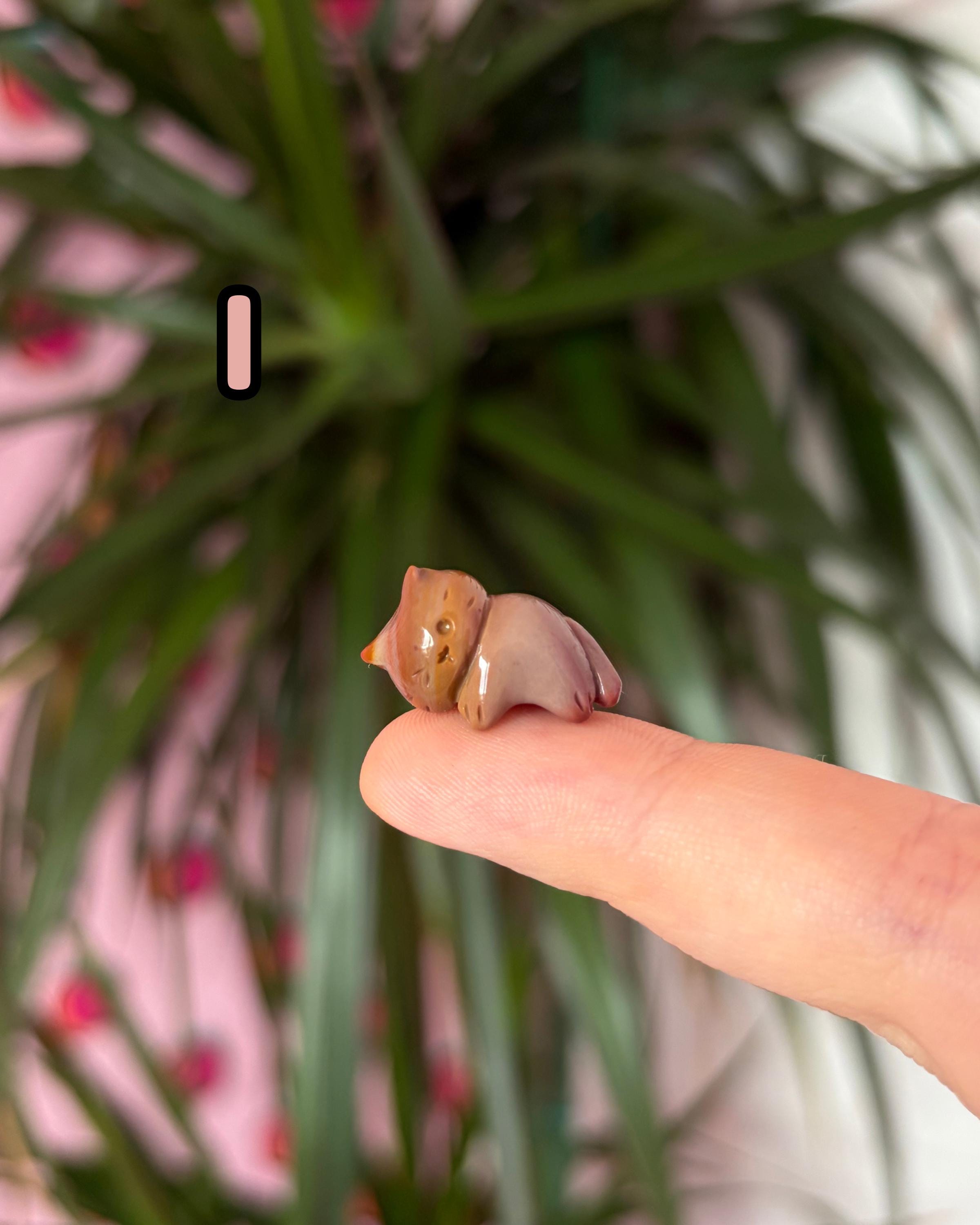 TINY Alashan Agate Kittens