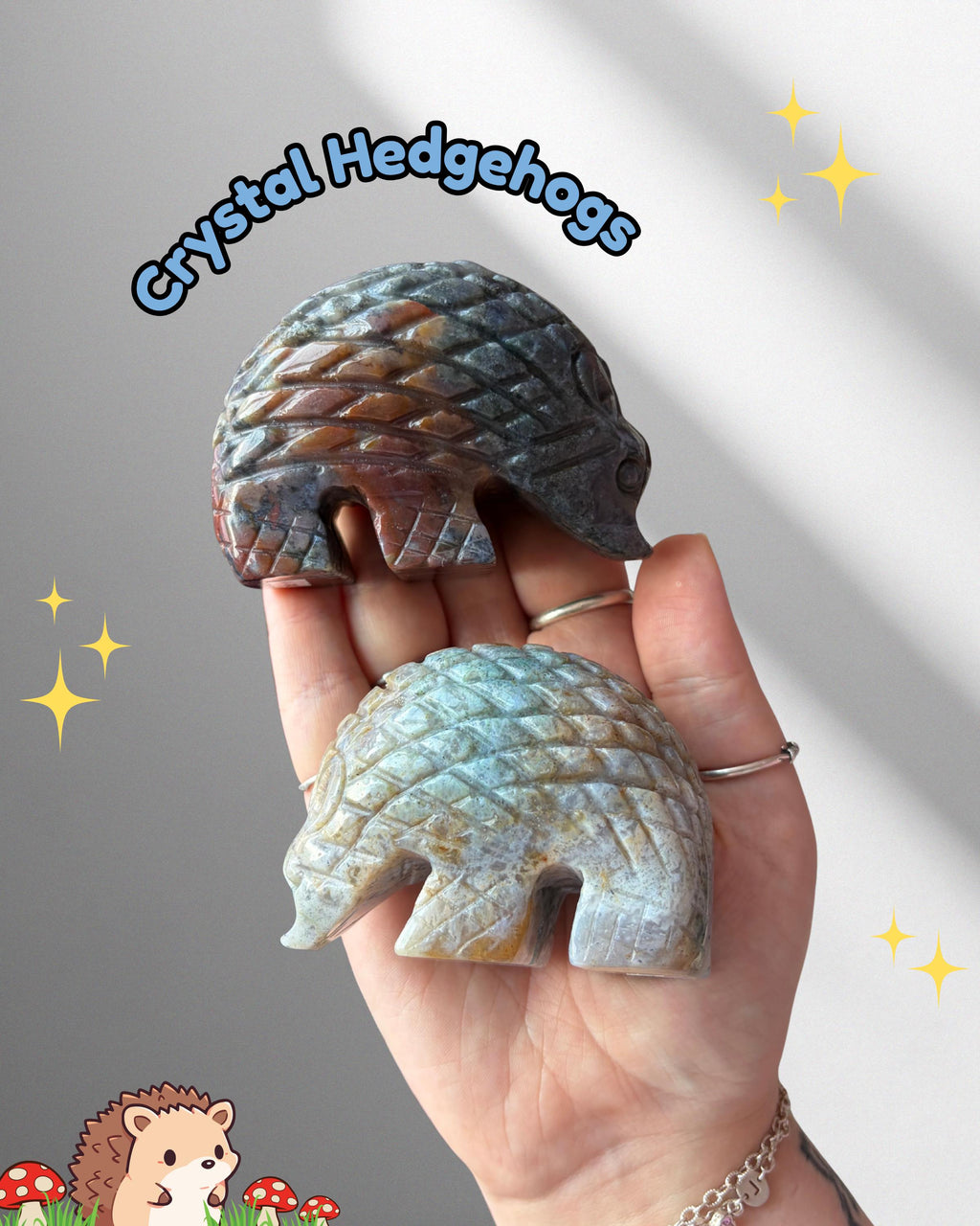 Sea Jasper Hedgehogs