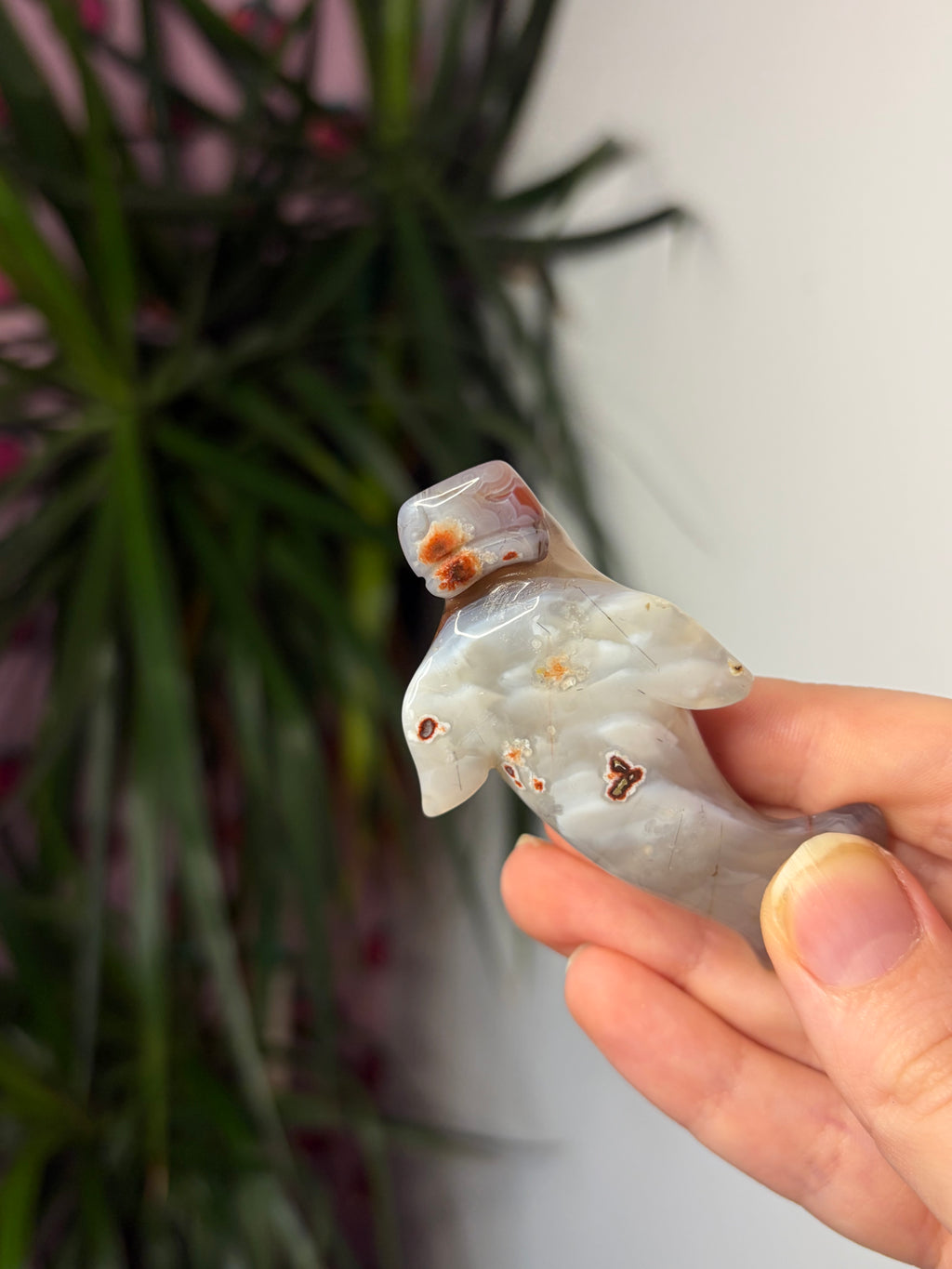 Mozambique Agate Manatee