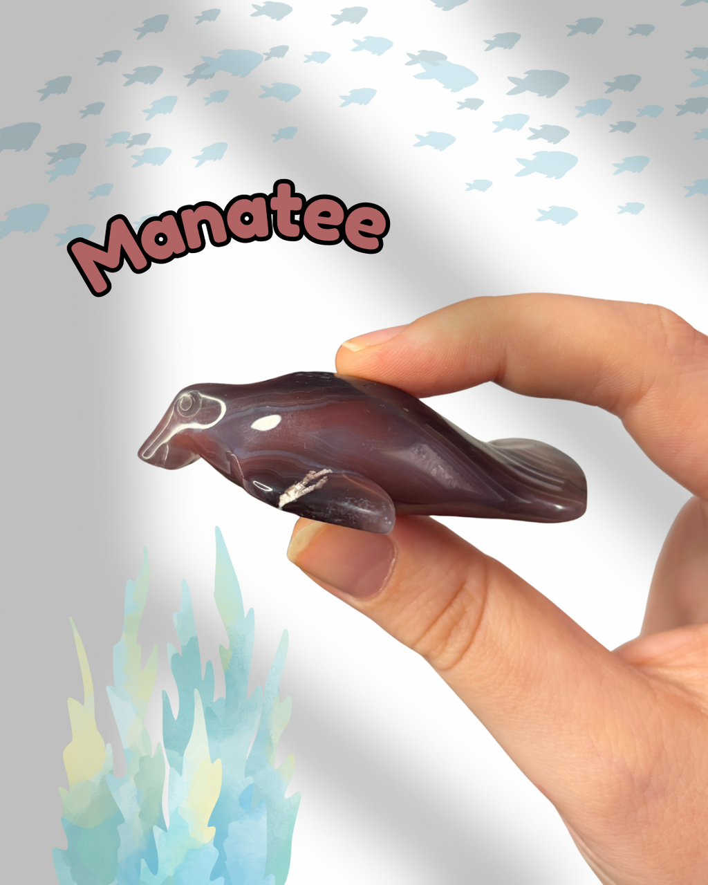 Mozambique Agate Manatee