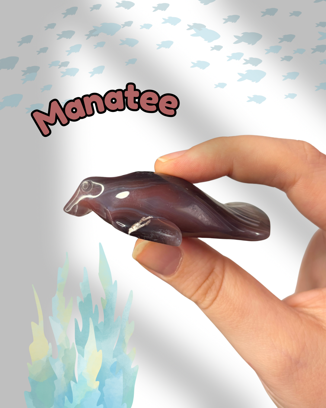 Mozambique Agate Manatee