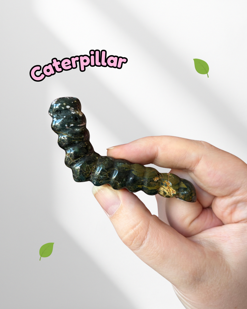Ocean Jasper caterpillar