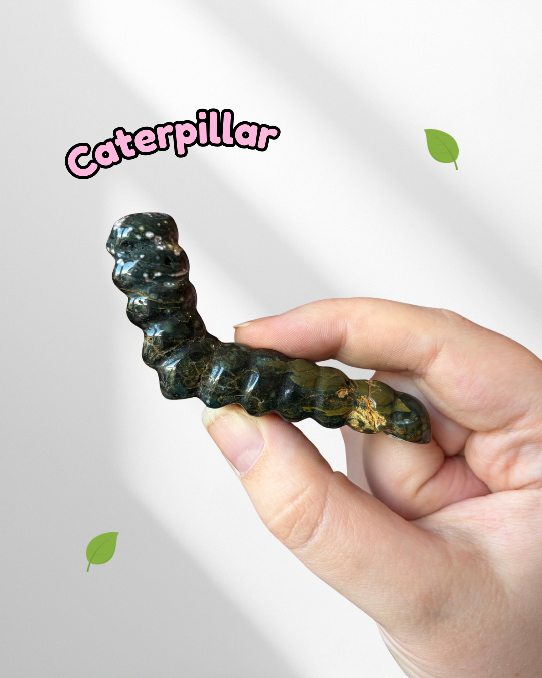 Ocean Jasper caterpillar