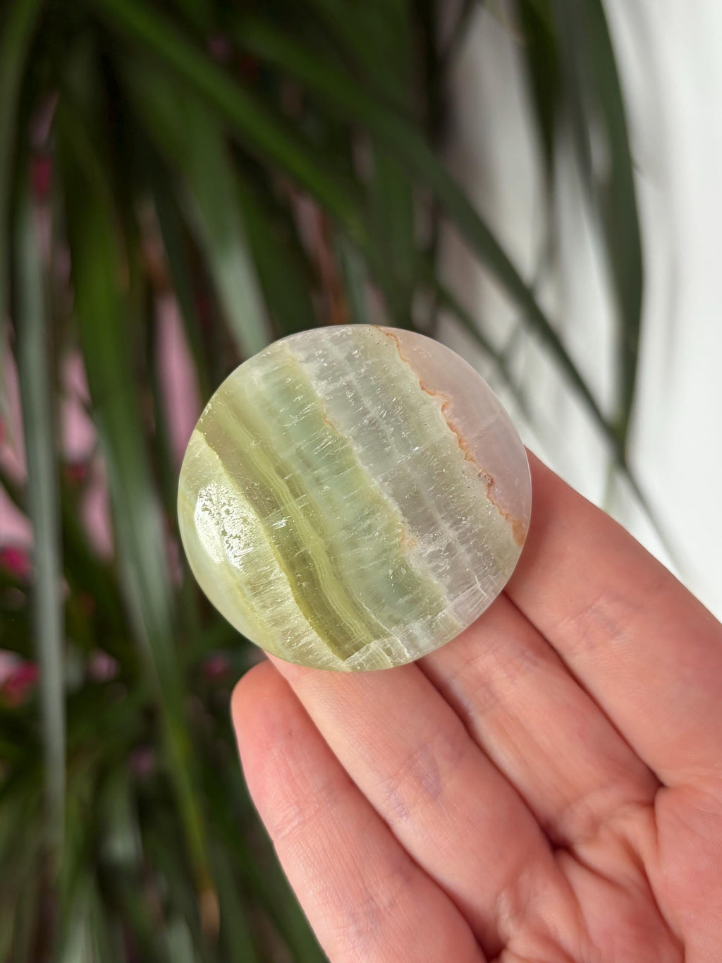 Pistachio Calcite Button Palmstone