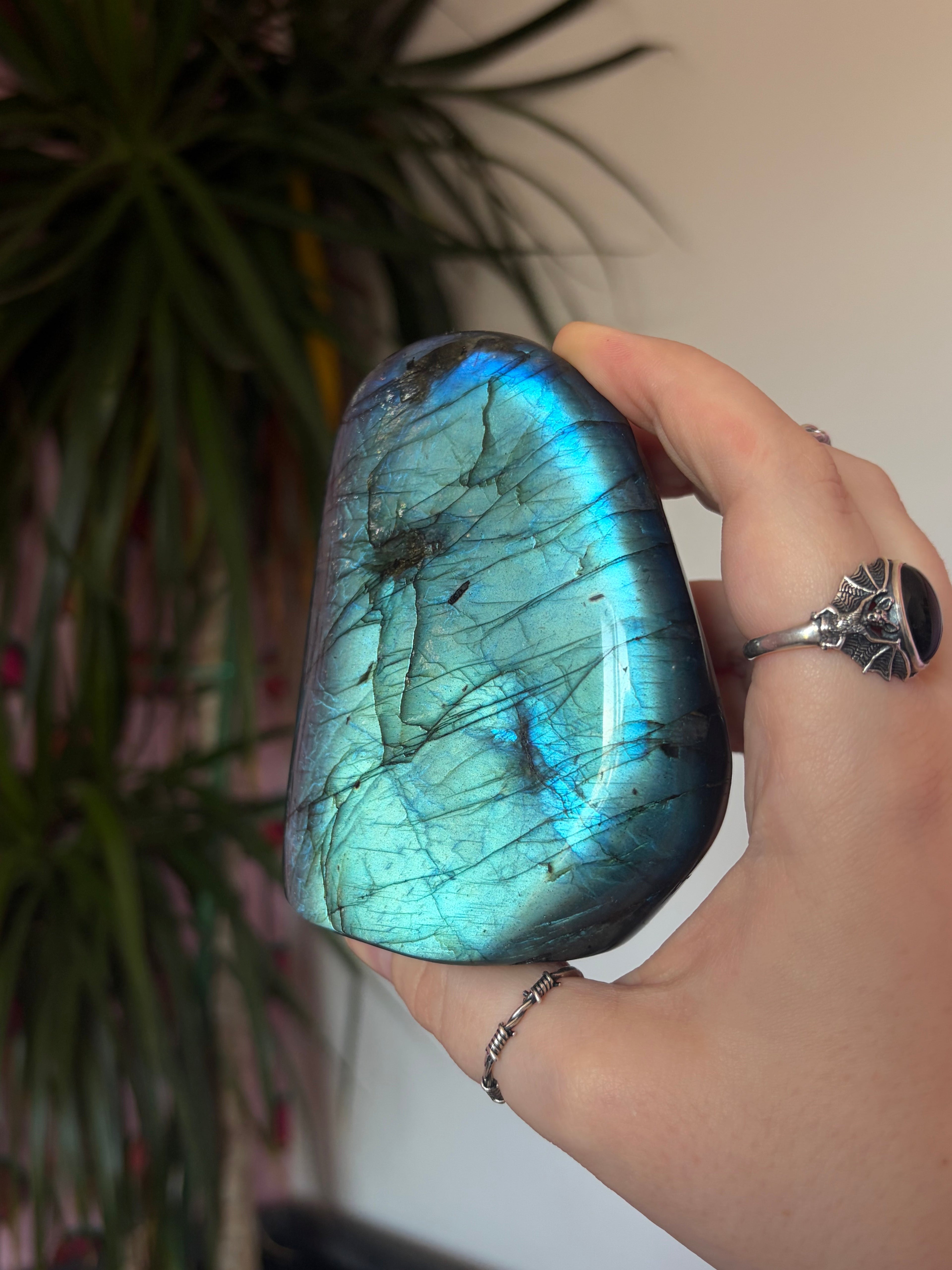A Grade Labradorite Freeform