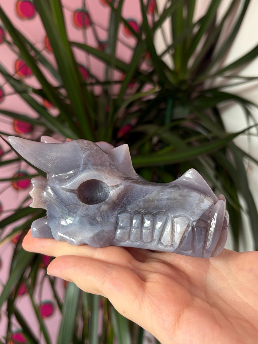 Sea Jasper Dragon Skull