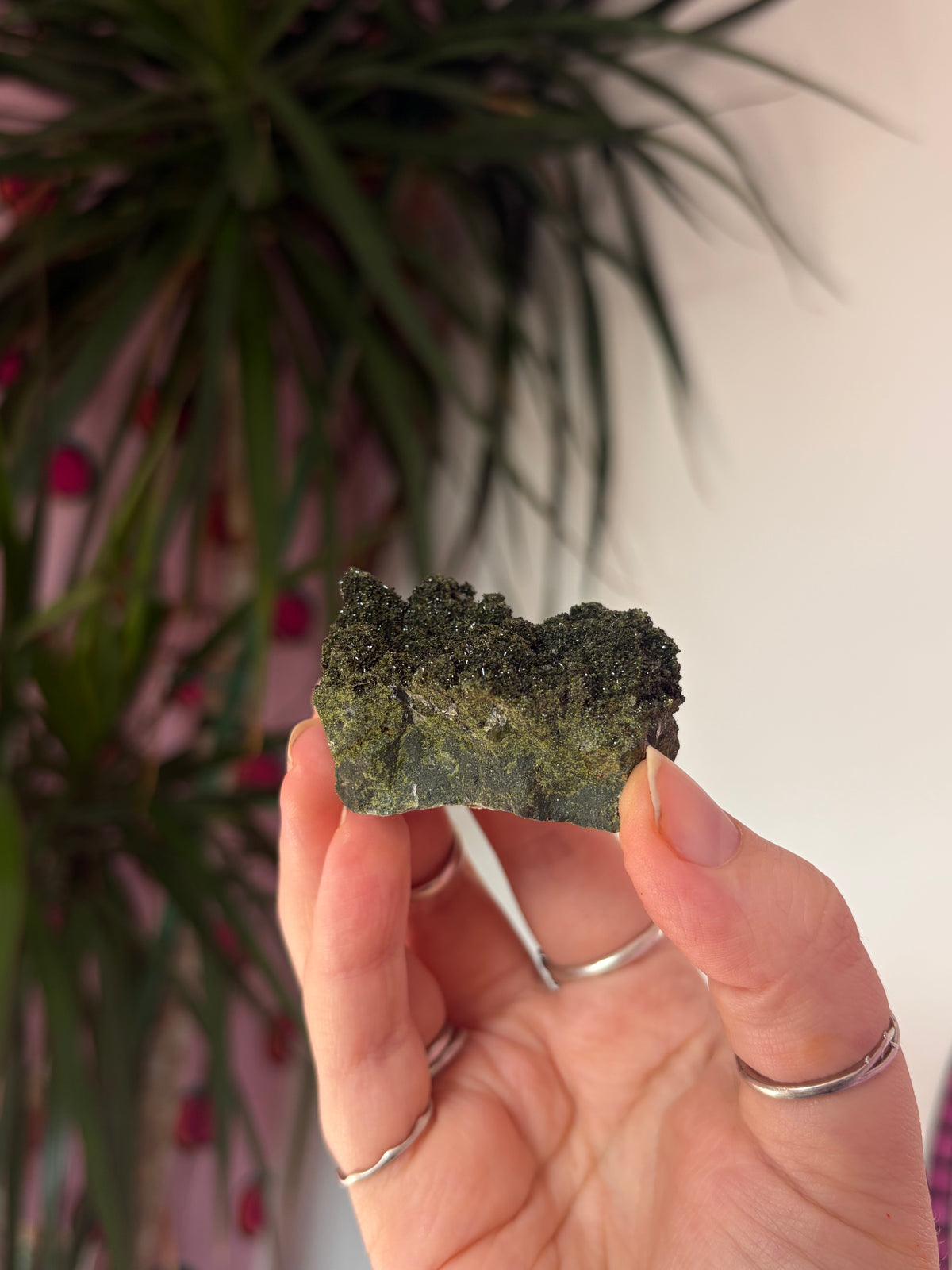 Forest Epidote Specimen