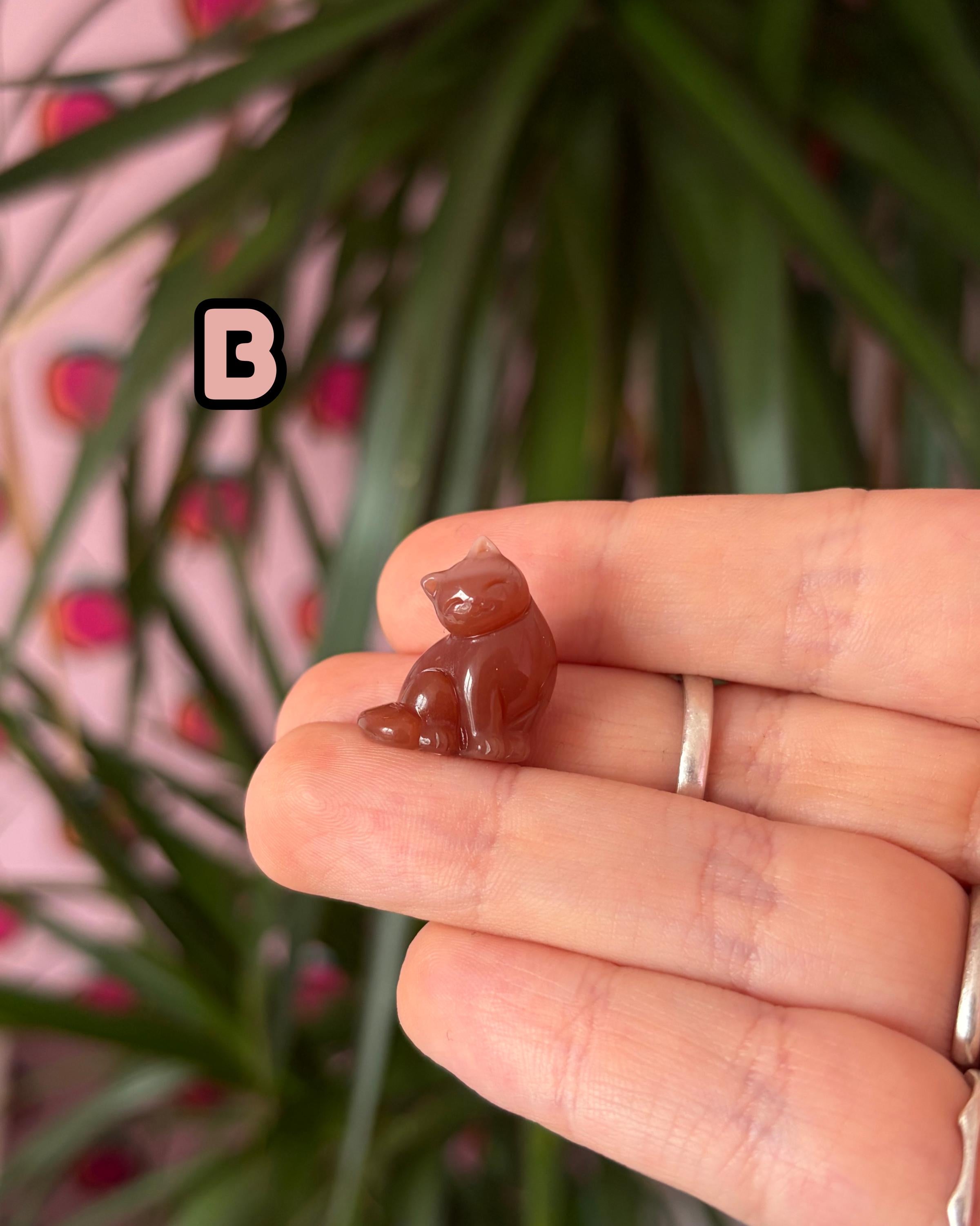 Tiny Alashan Agate Cats