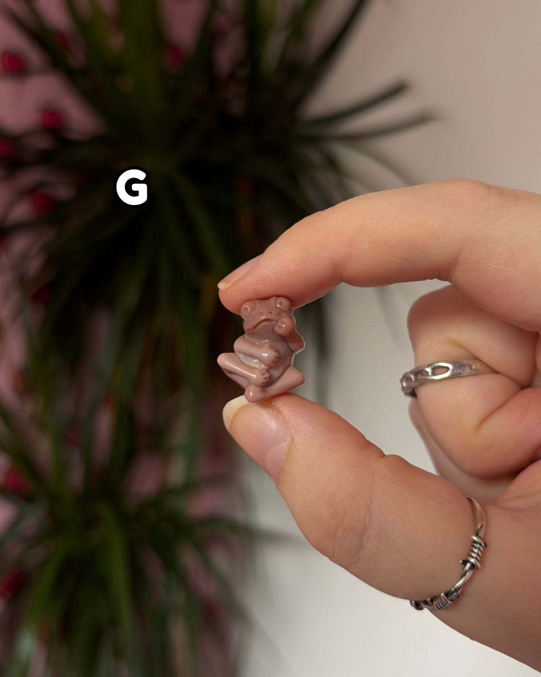 Tiny Alashan Agate Frogs