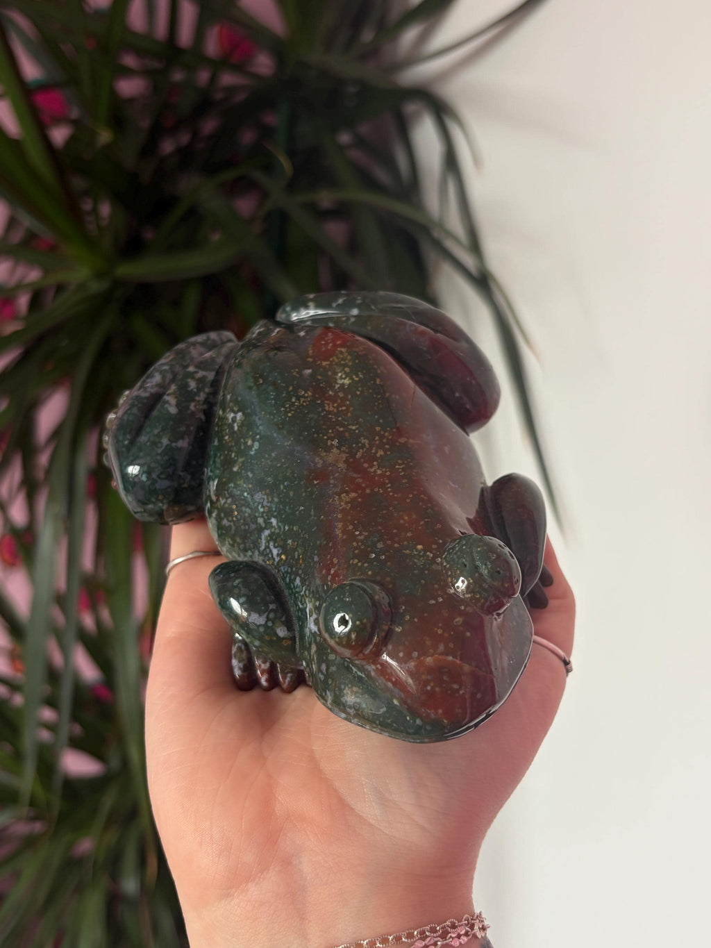 Large Sea Jasper Frog