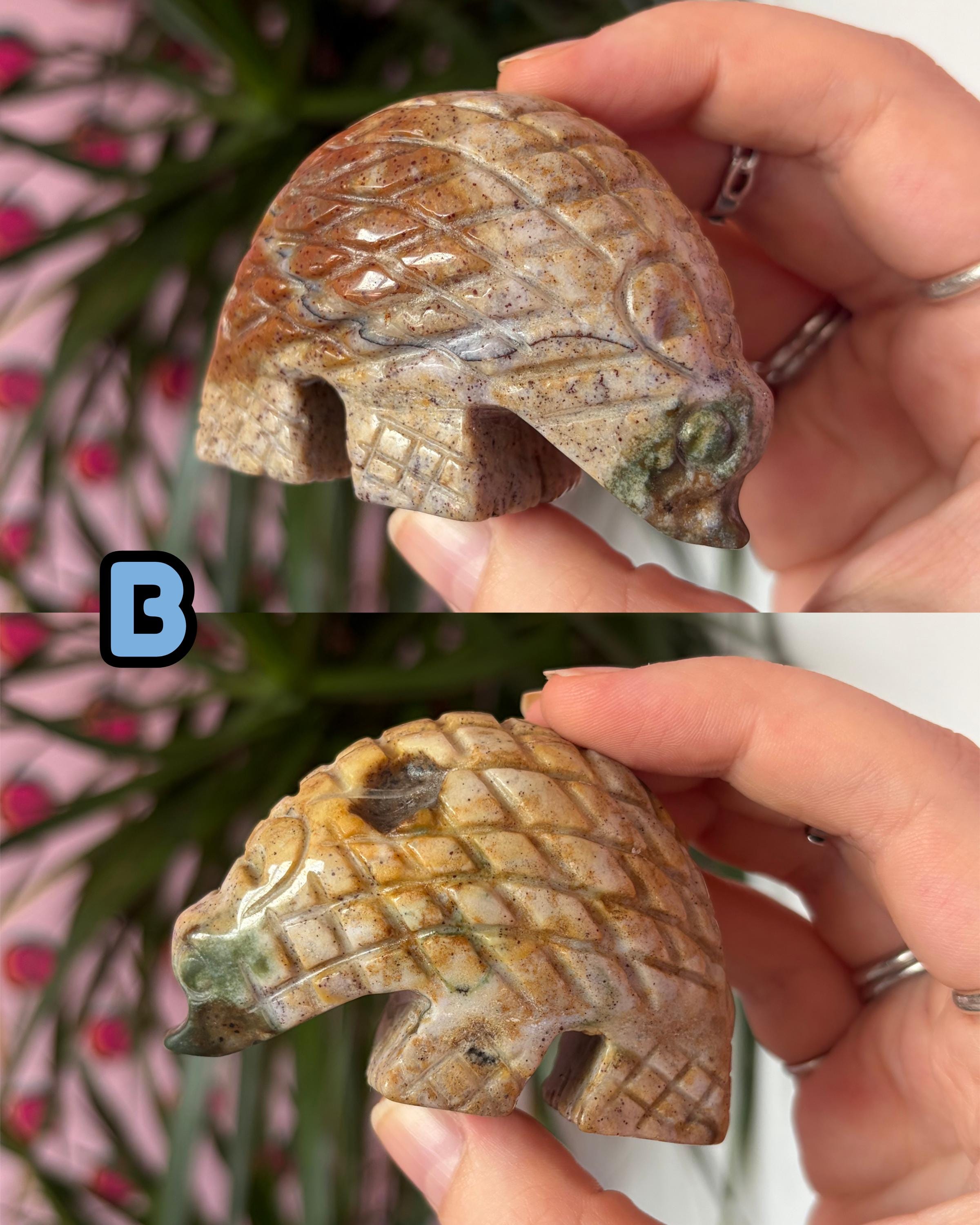 Sea Jasper Hedgehogs