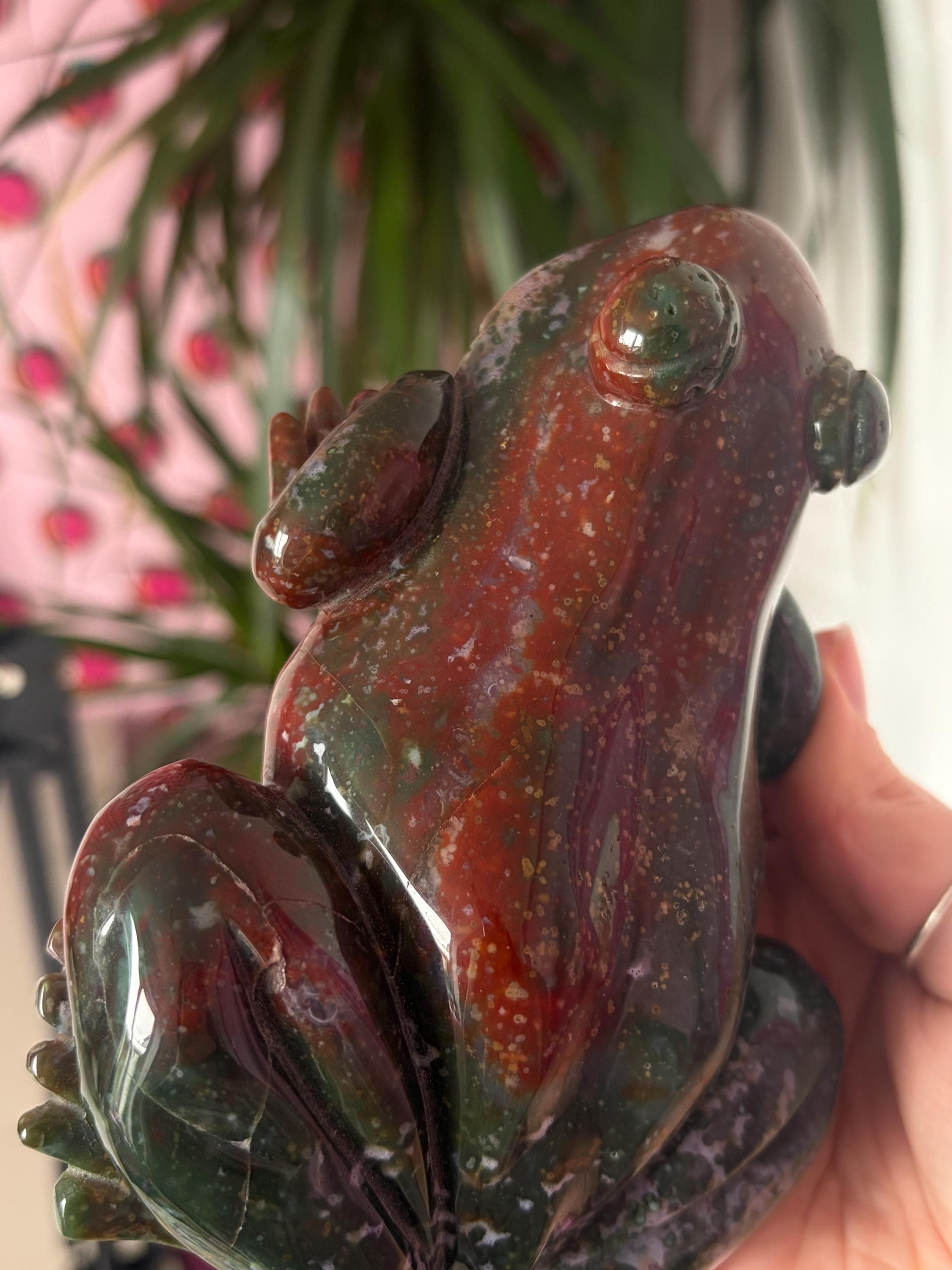 Large Sea Jasper Frog
