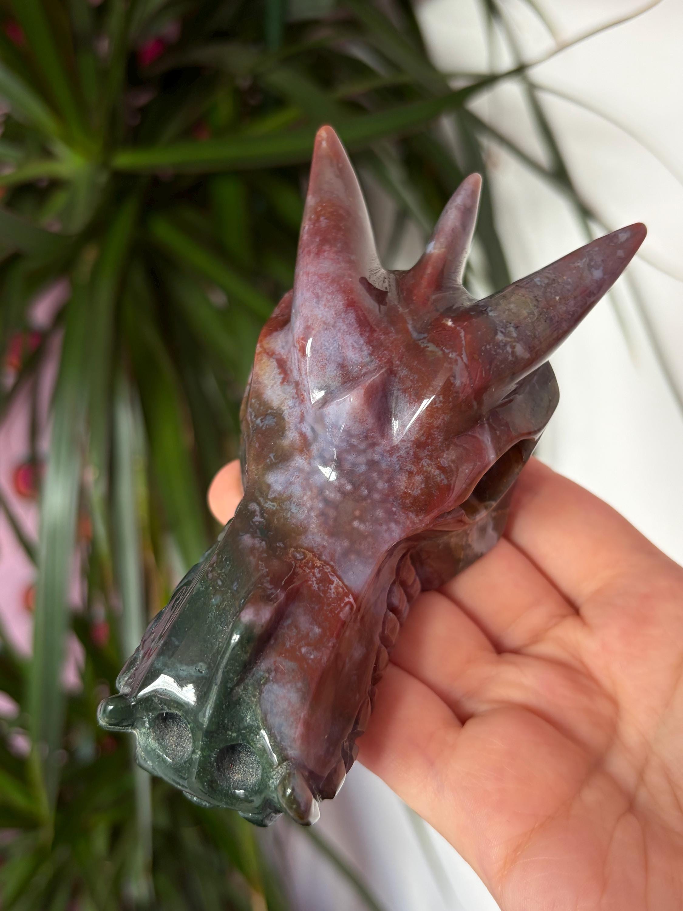 Sea Jasper Dragon Skull