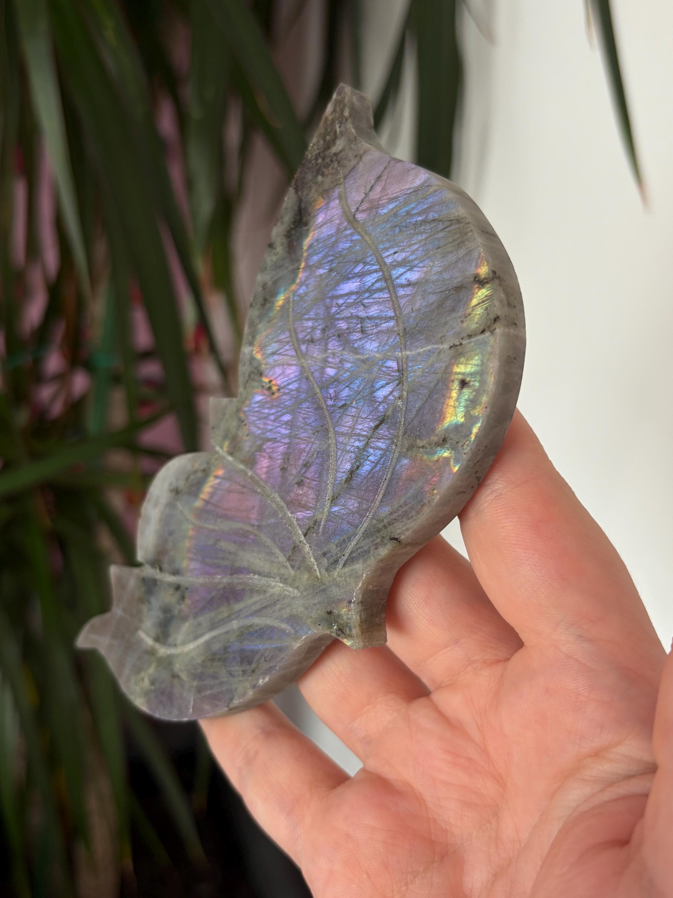 Labradorite Butterfly Wings with Custom Stand