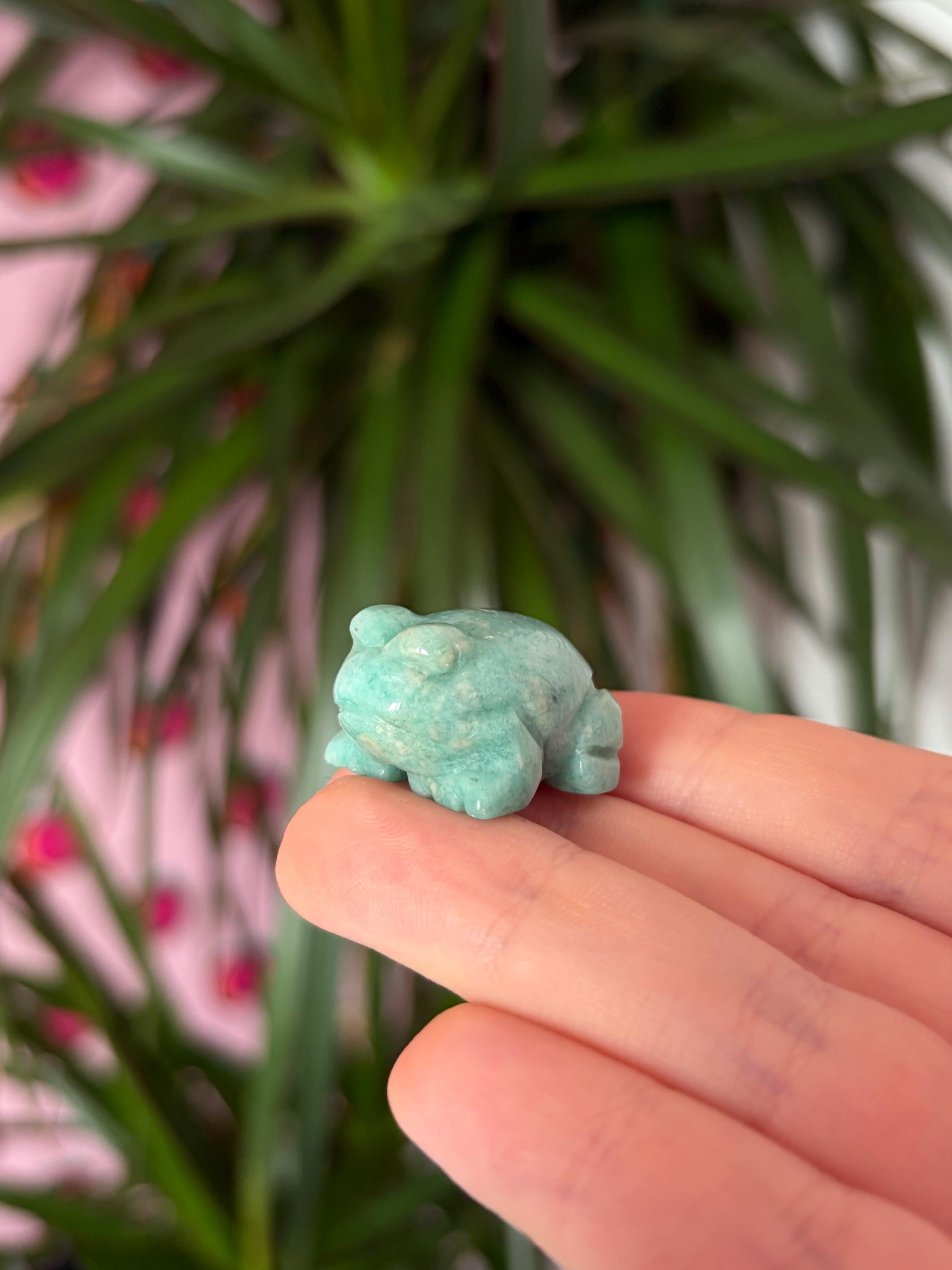 Mini Amazonite Frogs
