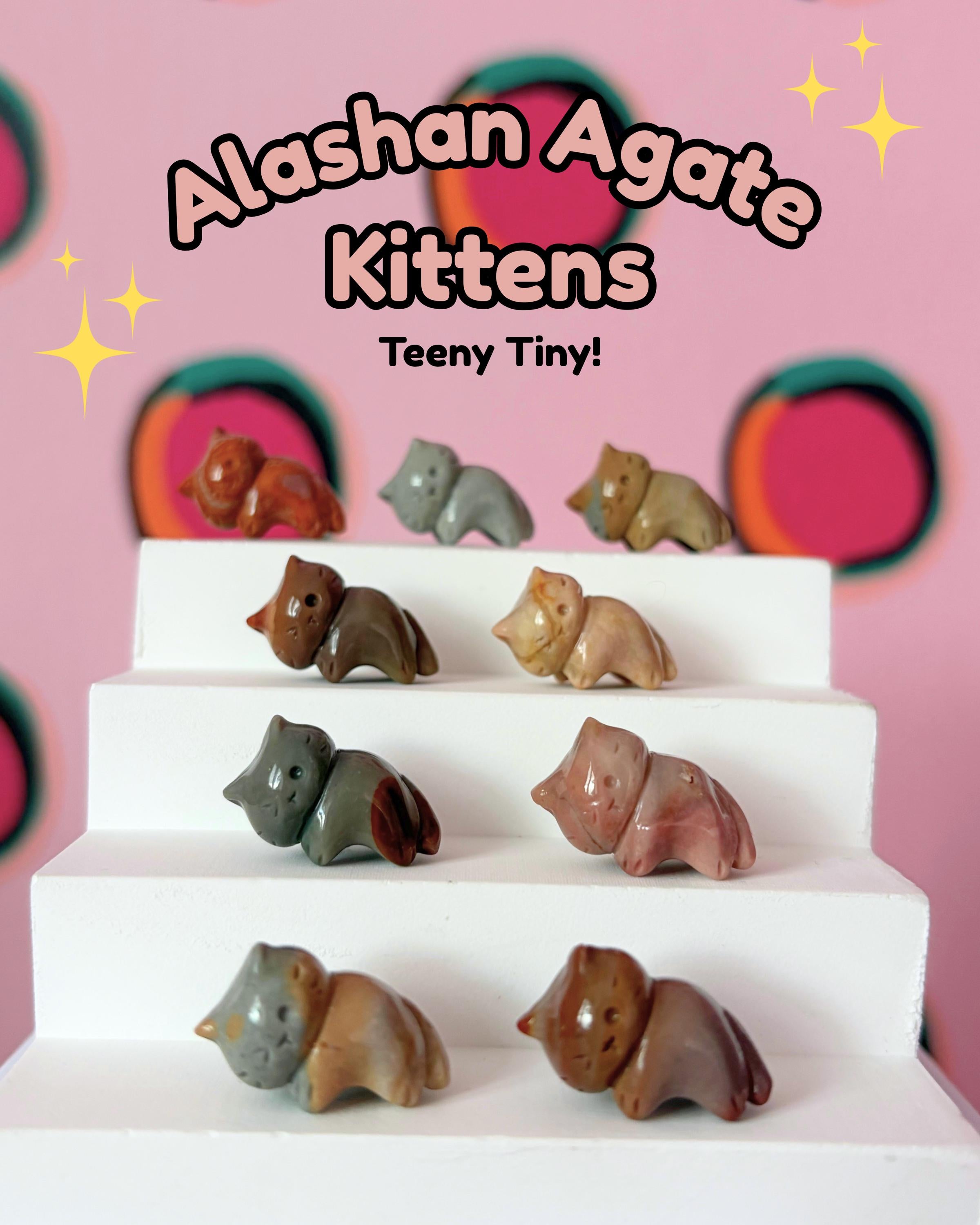 TINY Alashan Agate Kittens