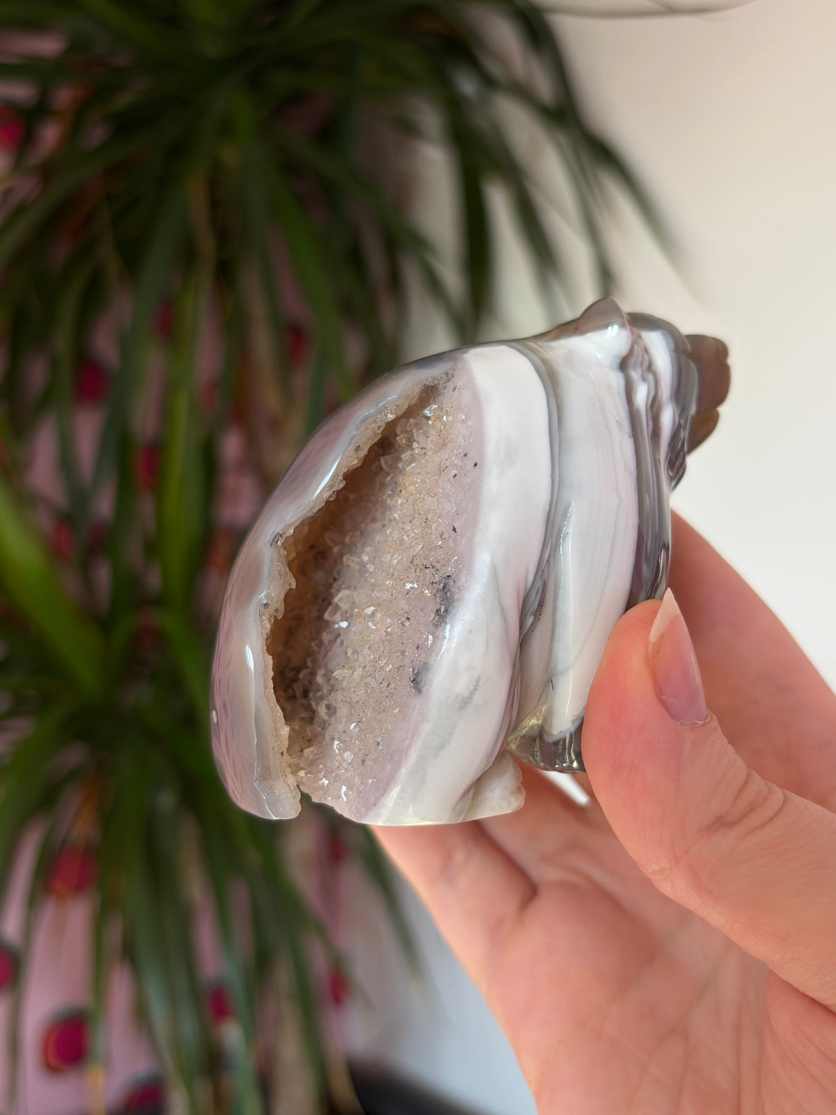 Druzy agate bear