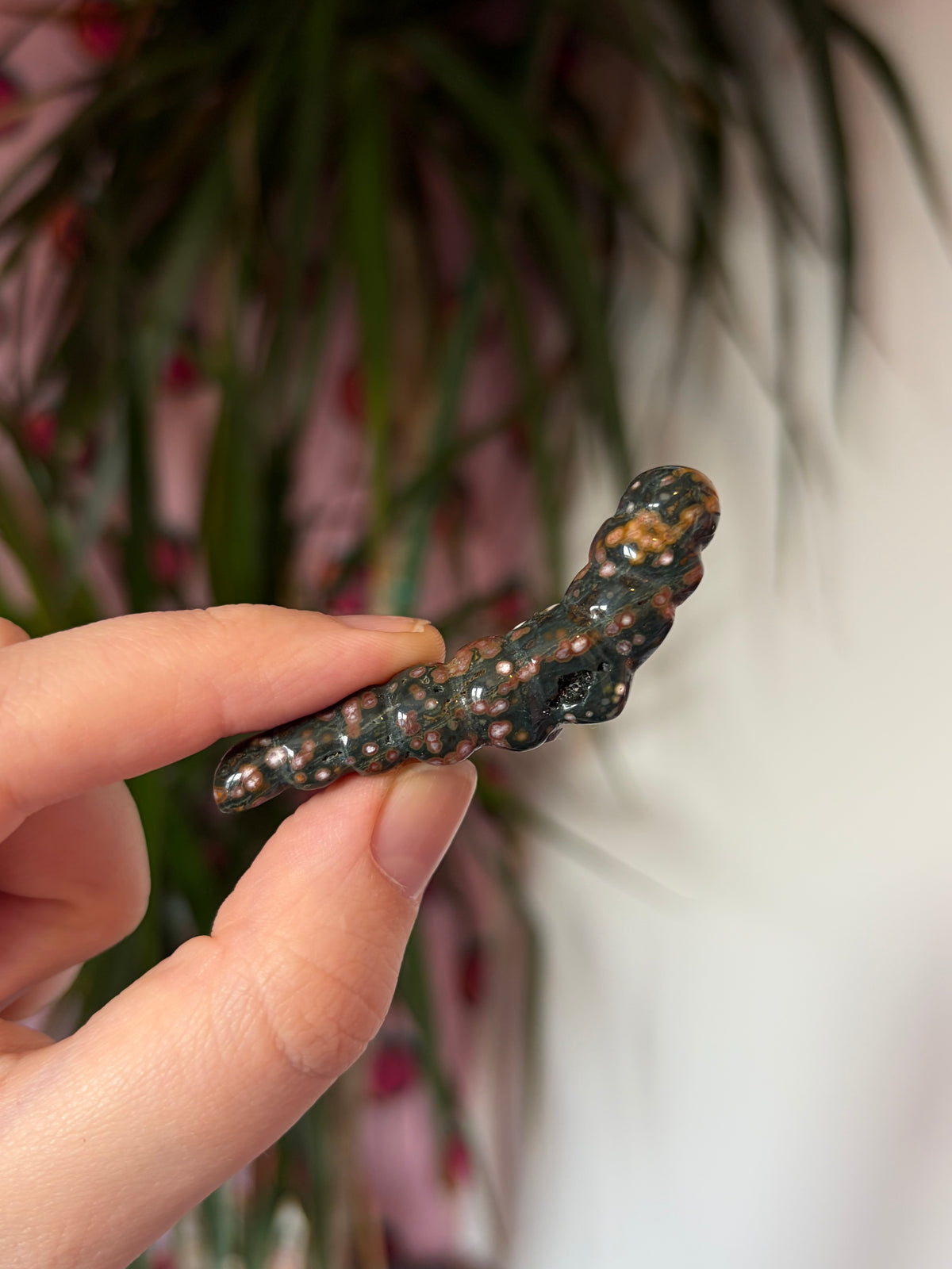 Ocean Jasper caterpillar