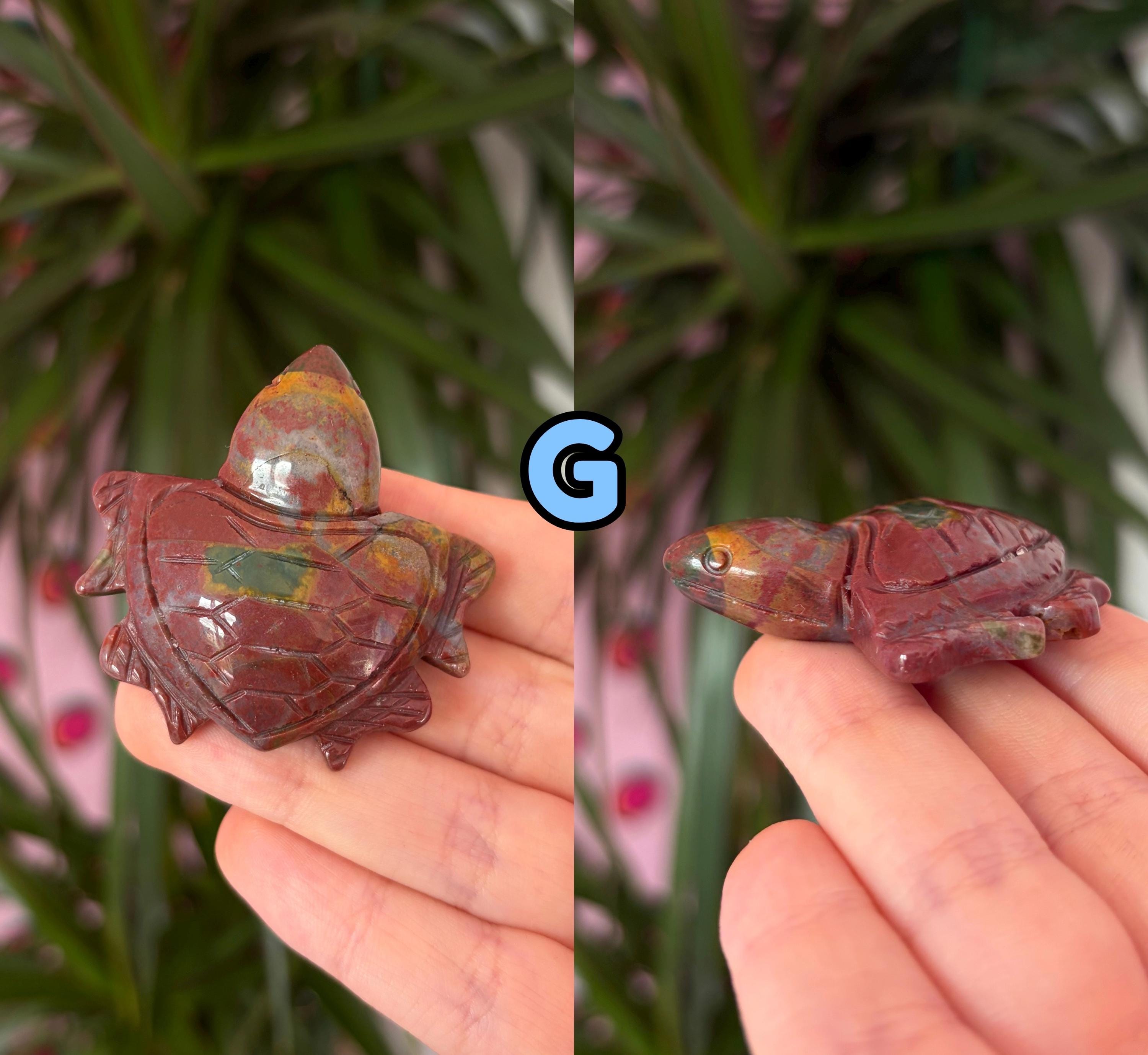Sea jasper turtles