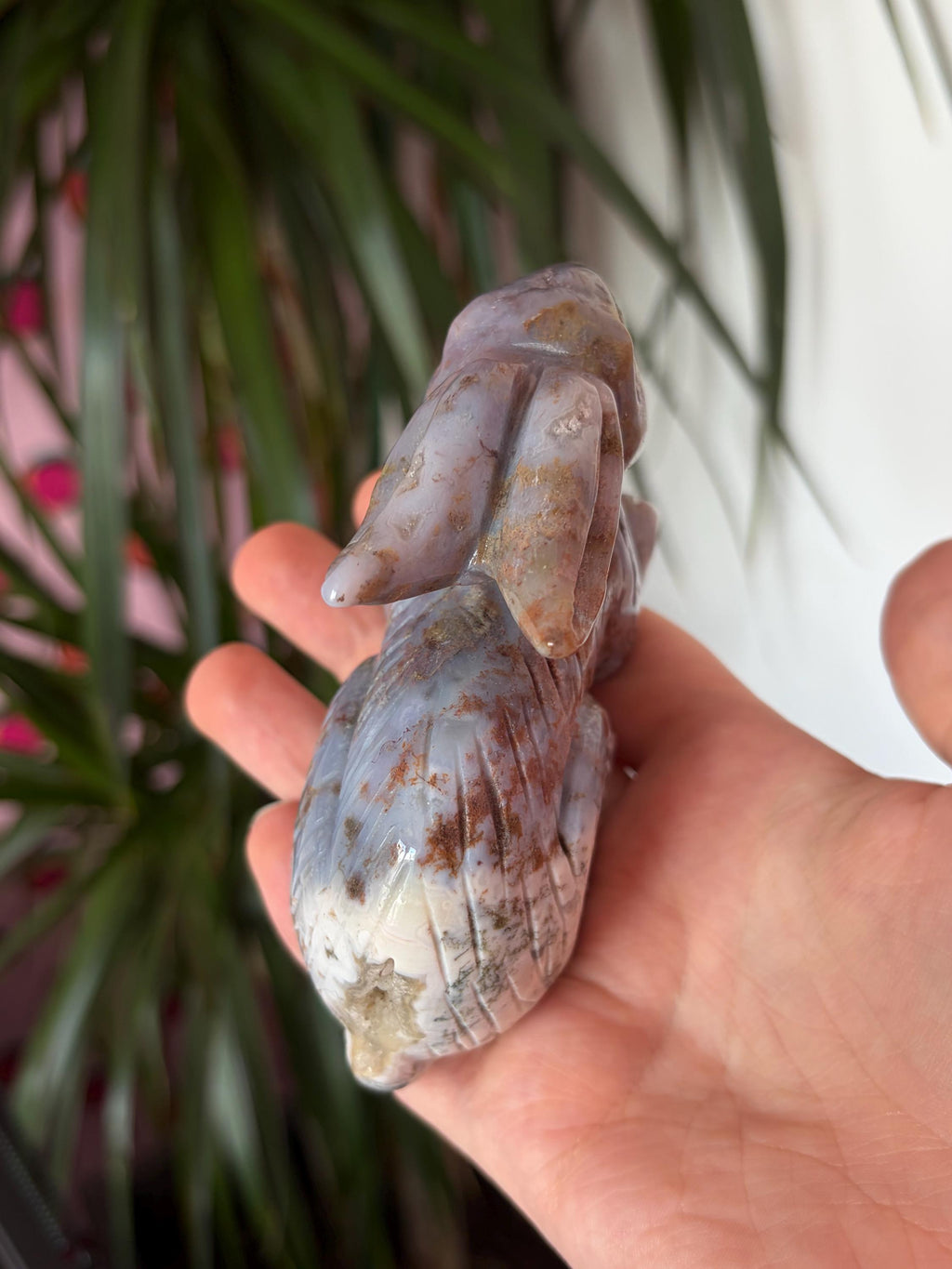 Sea Jasper Rabbit