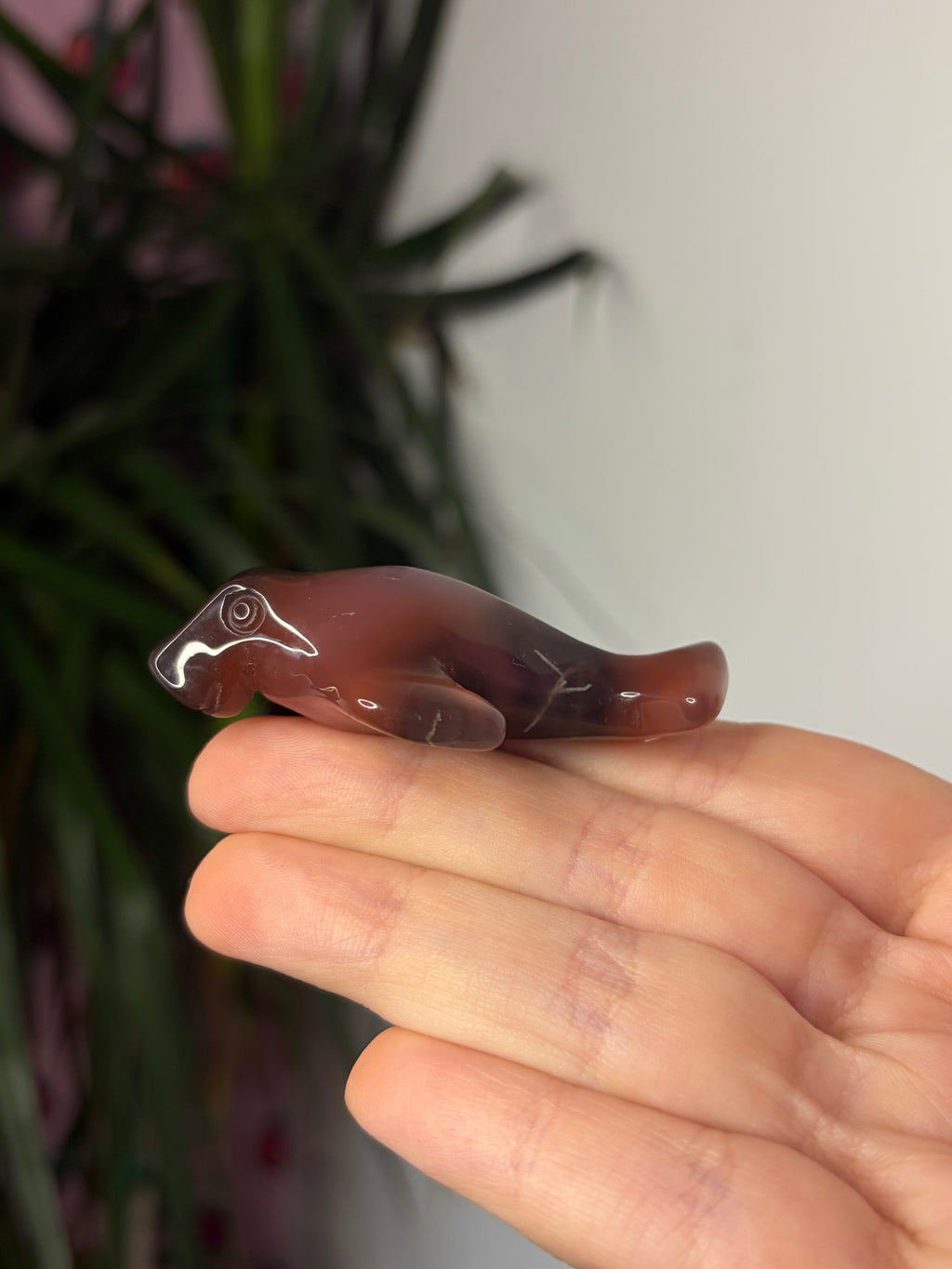 Mozambique Agate Manatee
