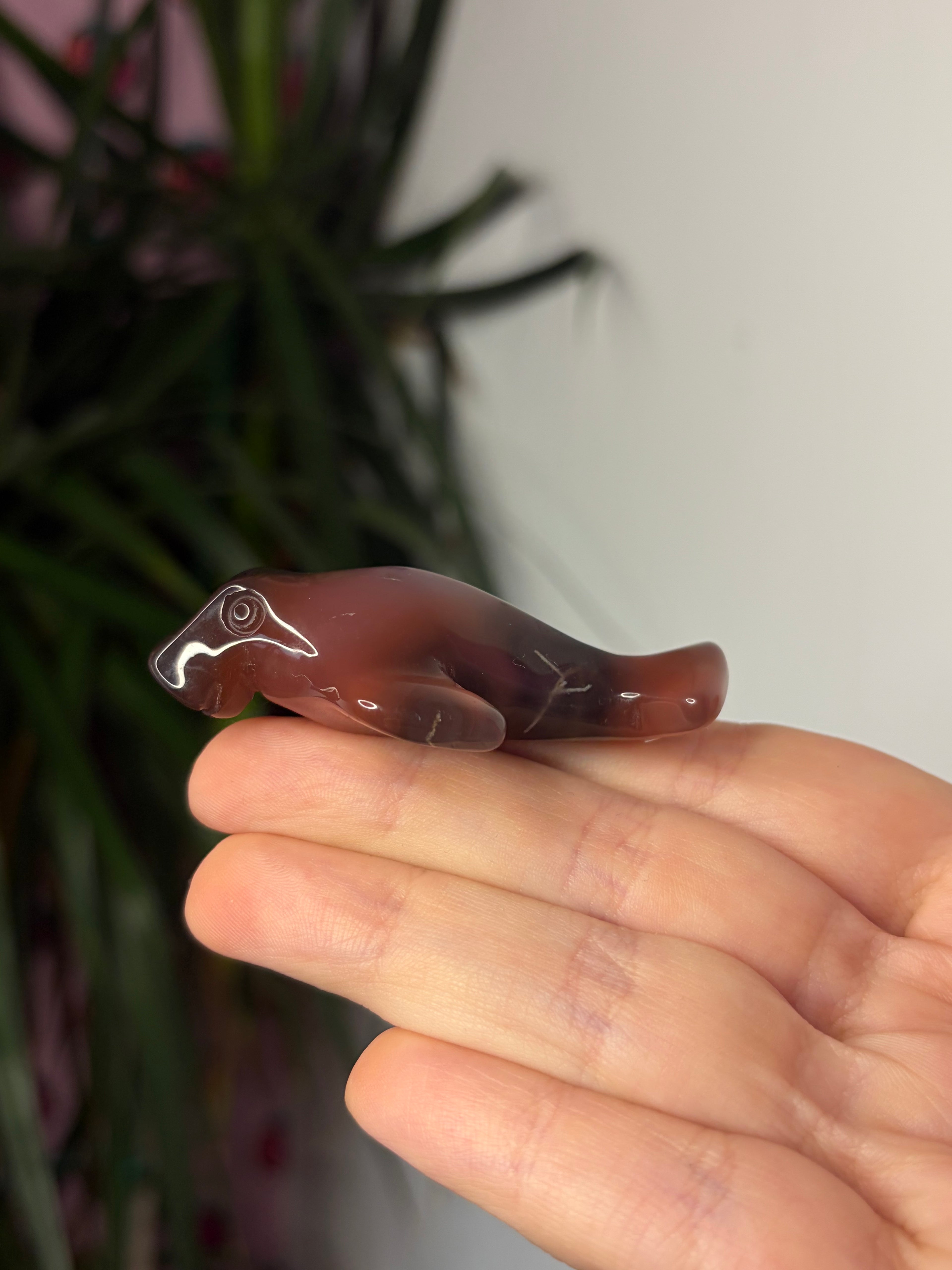 Mozambique Agate Manatee