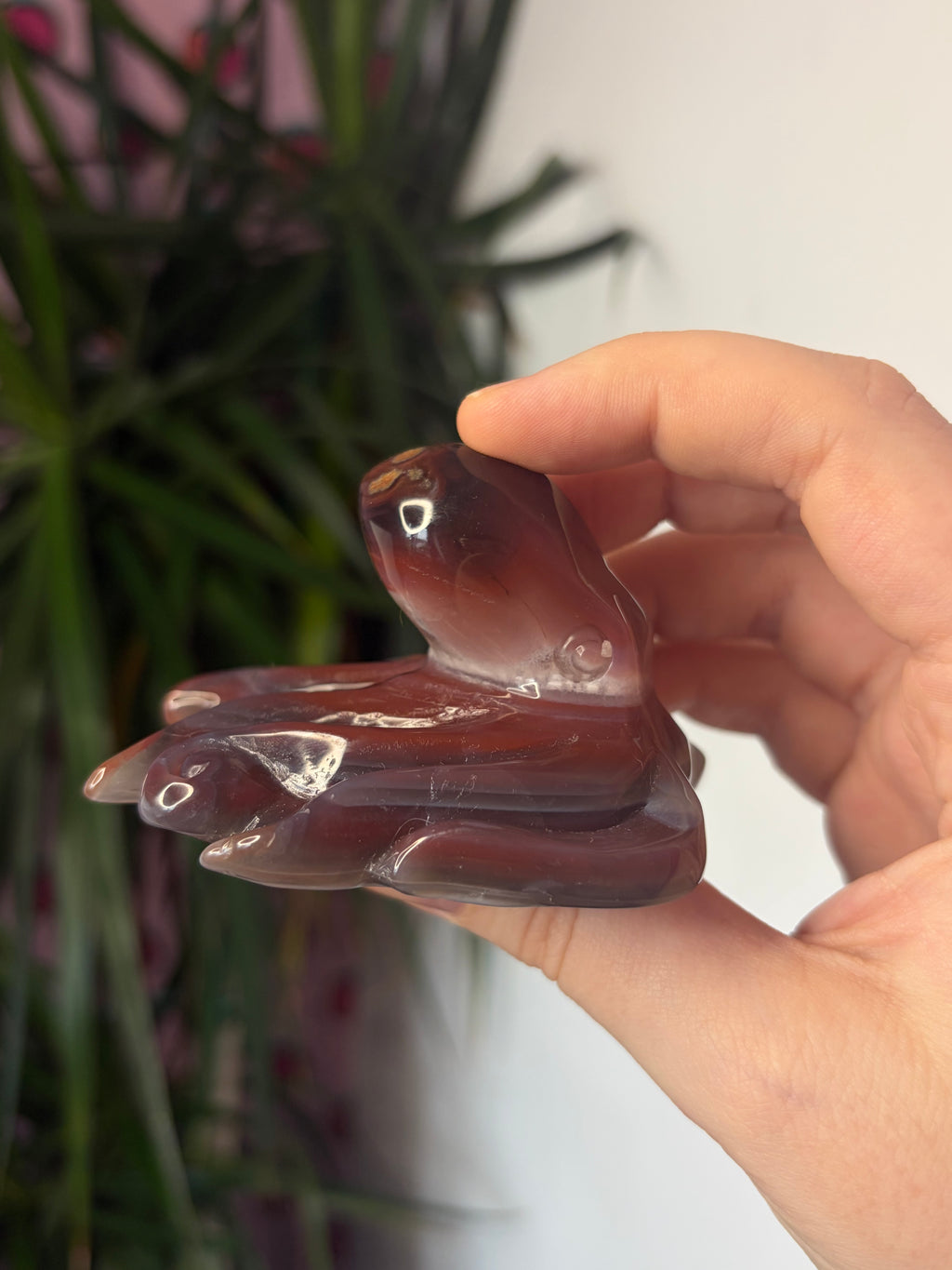 Mozambique Agate Octopus
