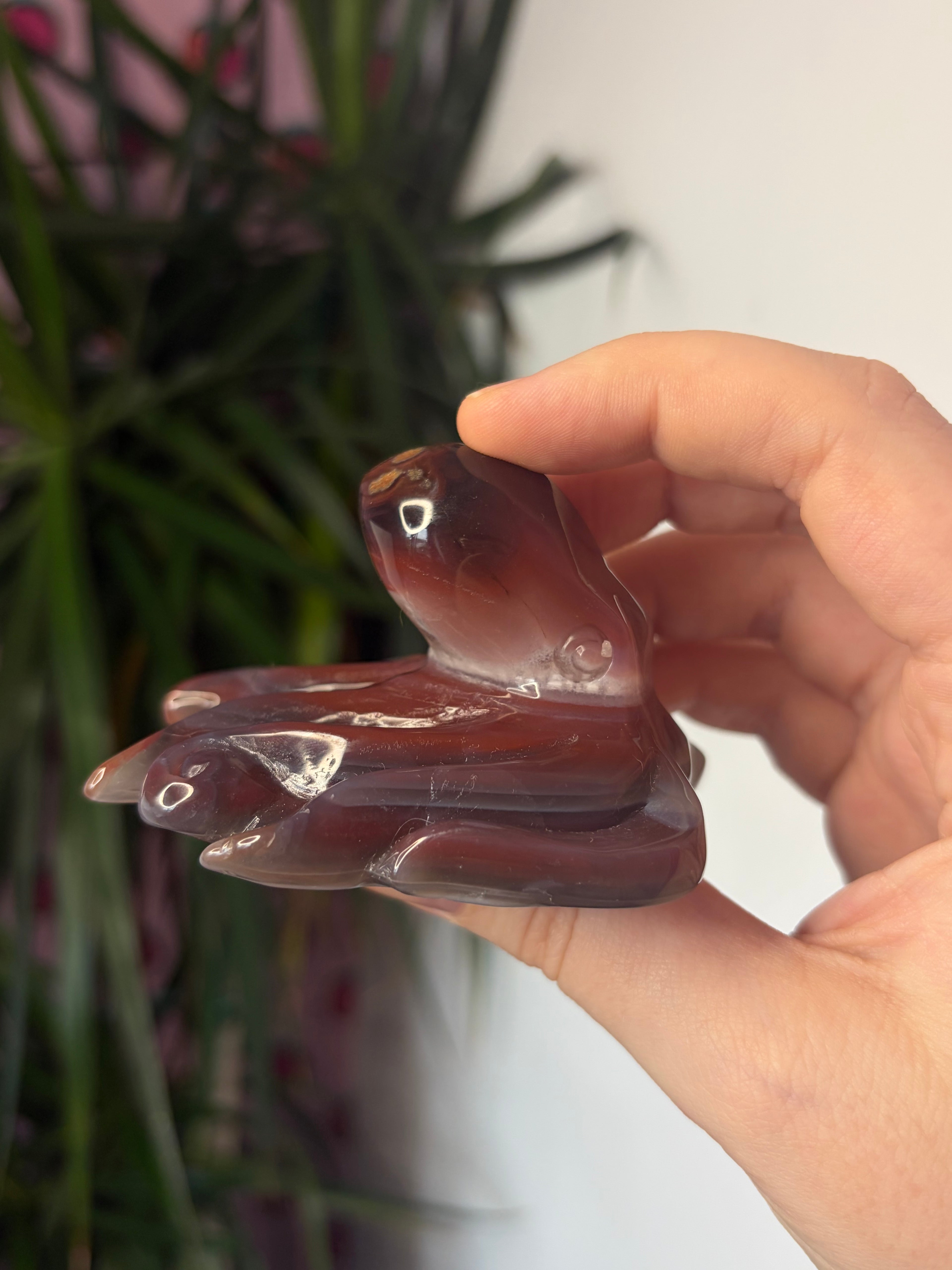 Mozambique Agate Octopus
