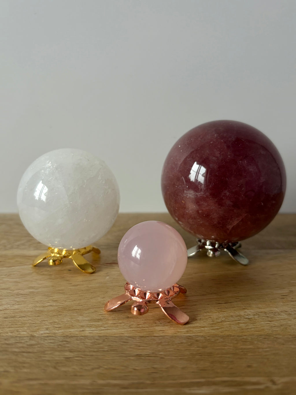 Turtle sphere stands