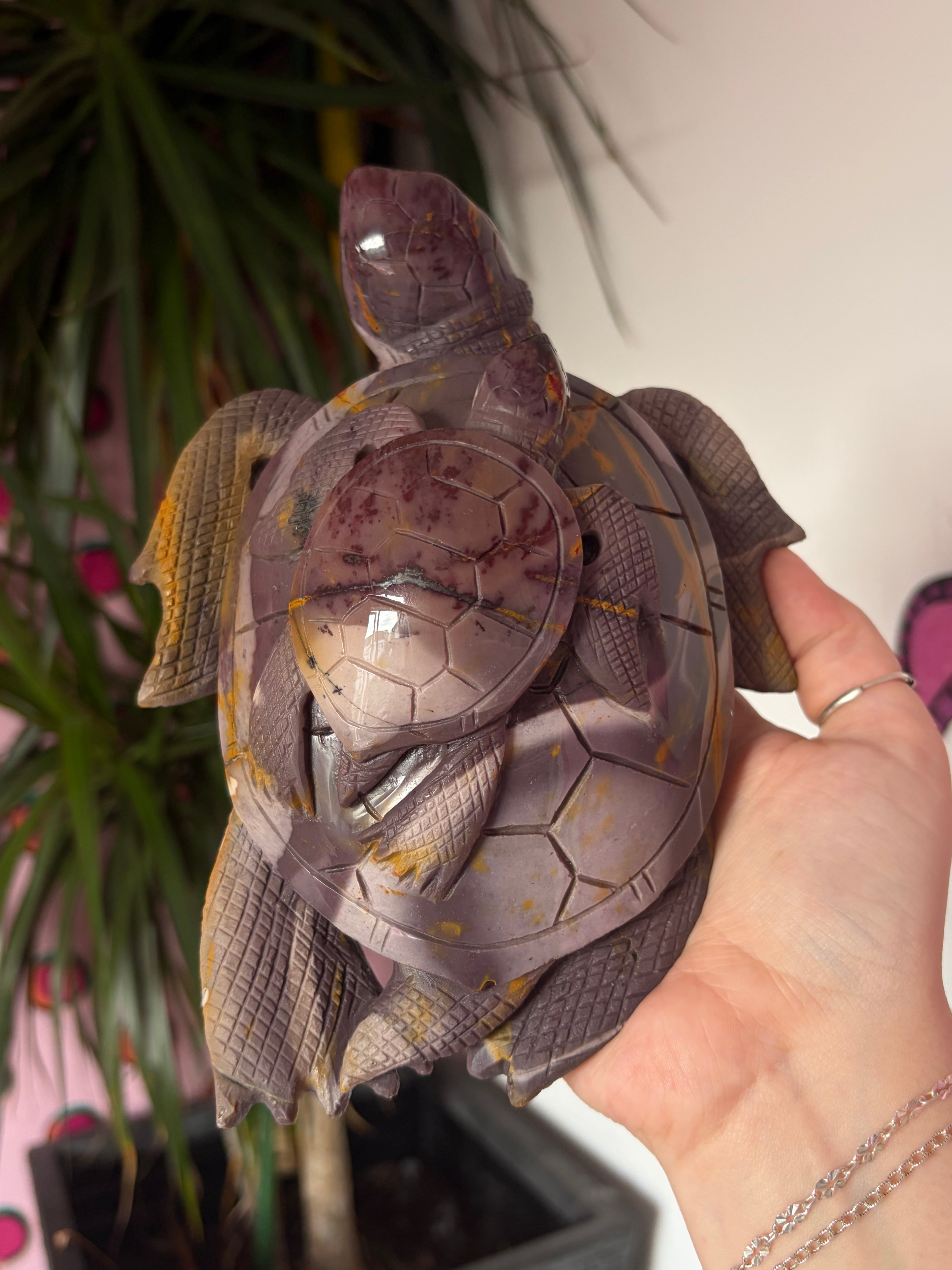 Big Mookaite Turtle on Custom stand