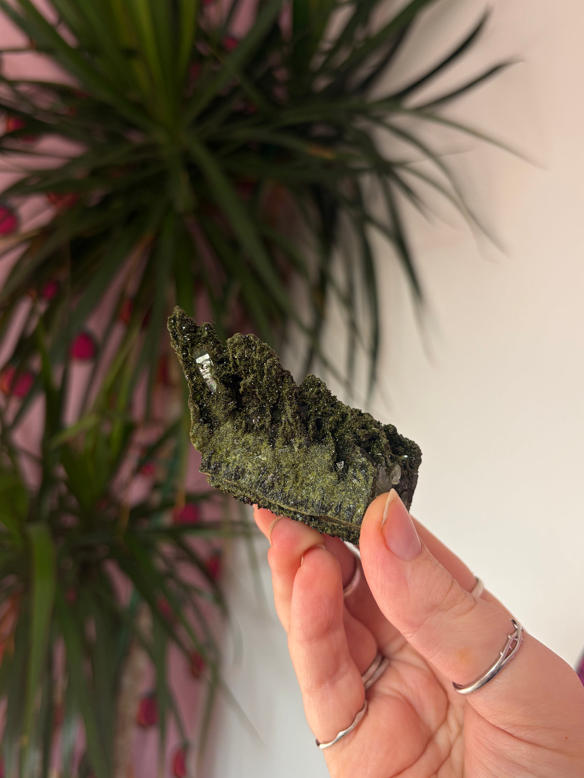 Forest Epidote Specimen