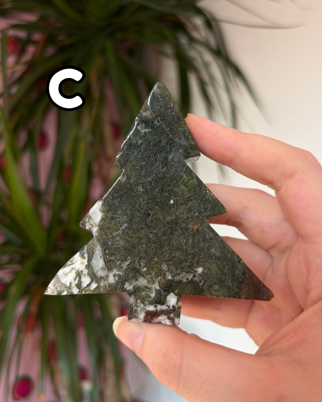 Moss agate pine trees