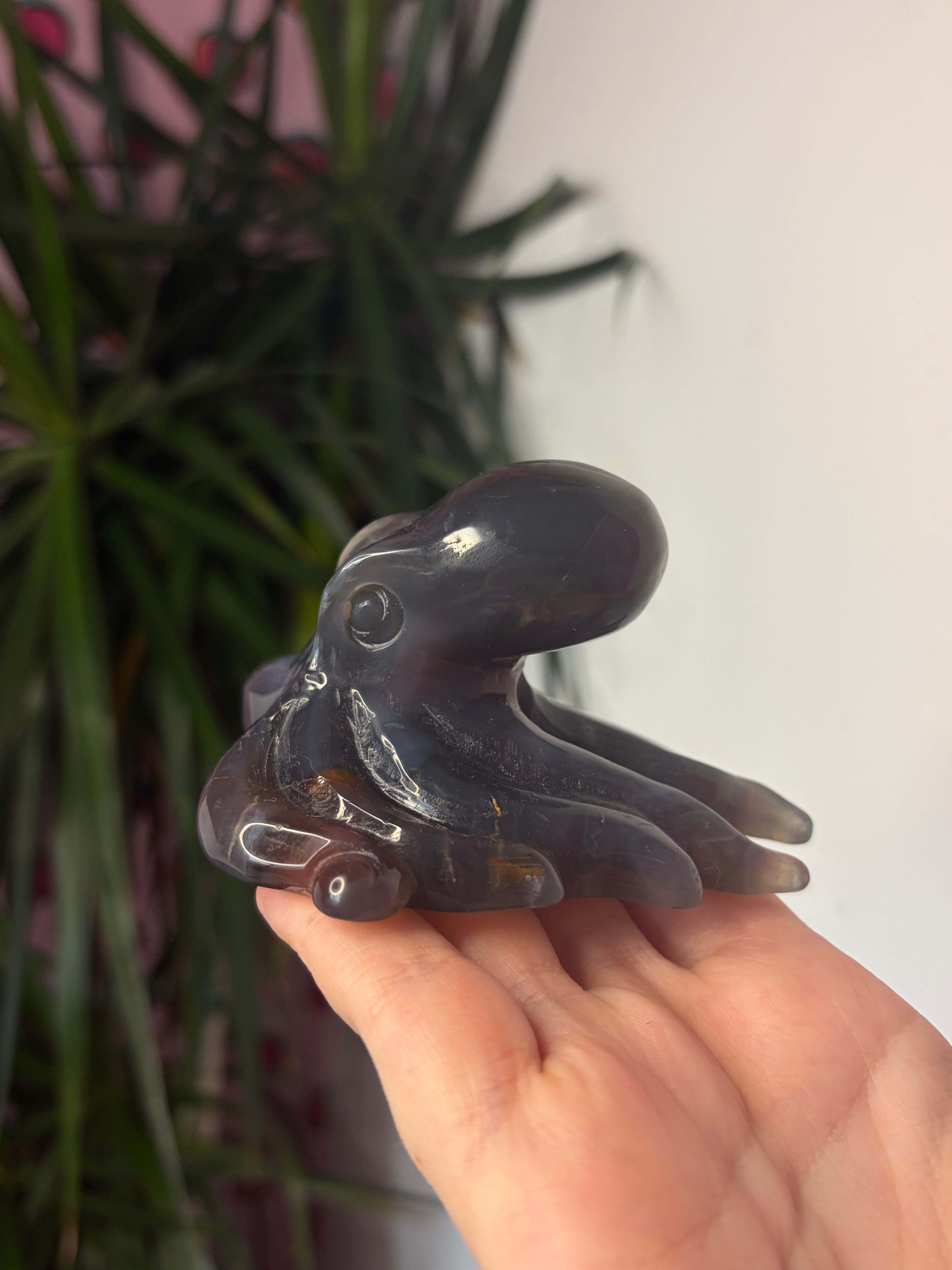Mozambique Agate Octopus