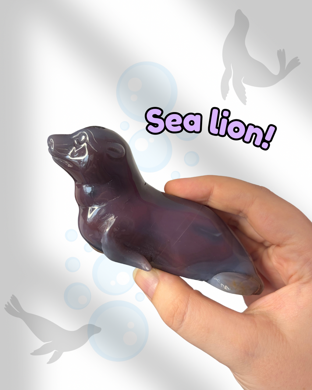 Mozambique Agate Sea Lion